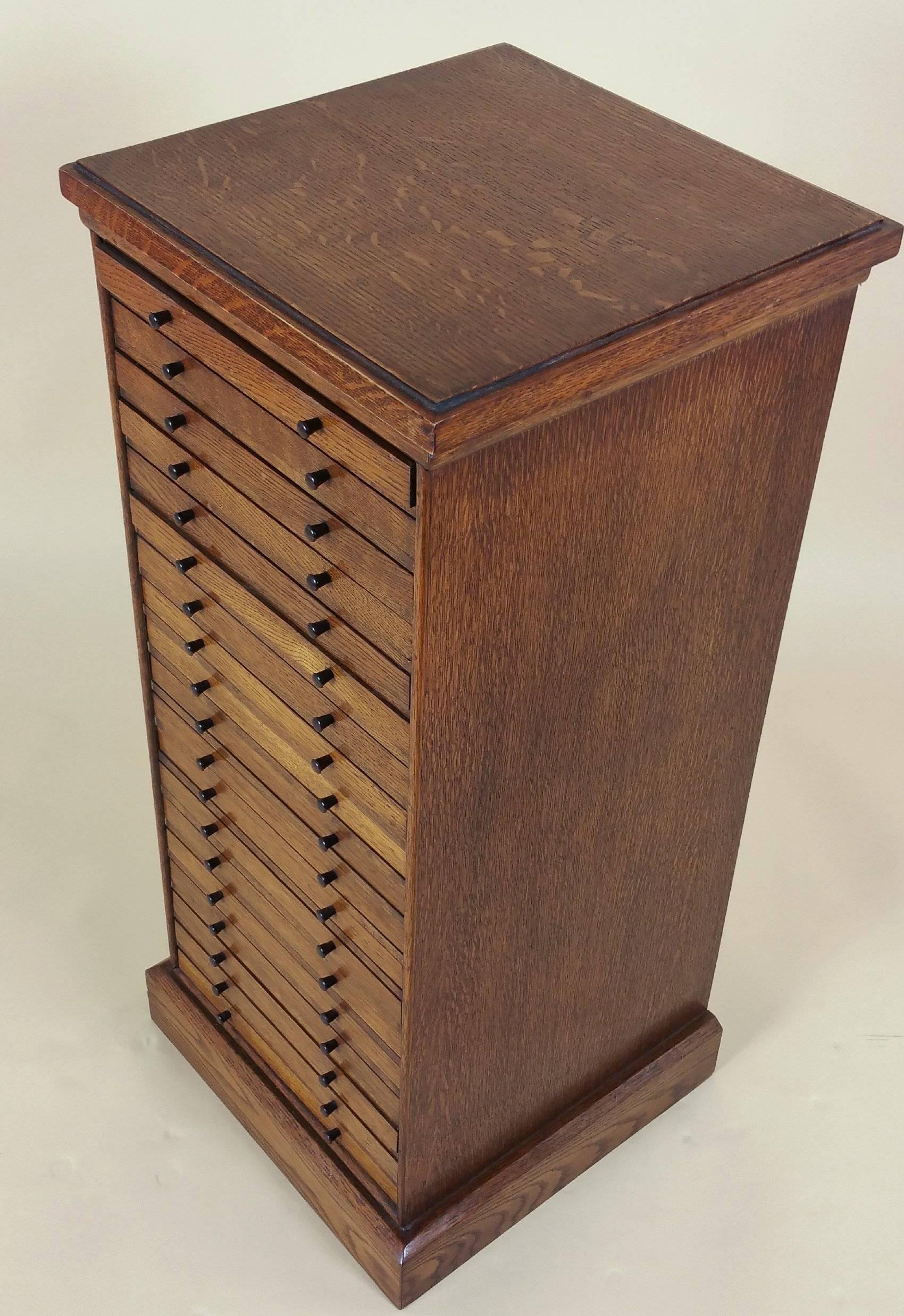 Edwardian English Oak Collectors Chest In Excellent Condition In London, west Sussex