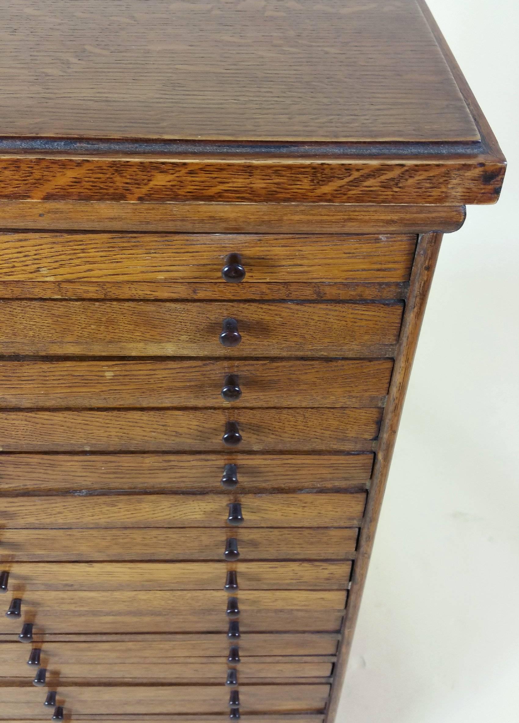 Edwardian English Oak Collectors Chest 4