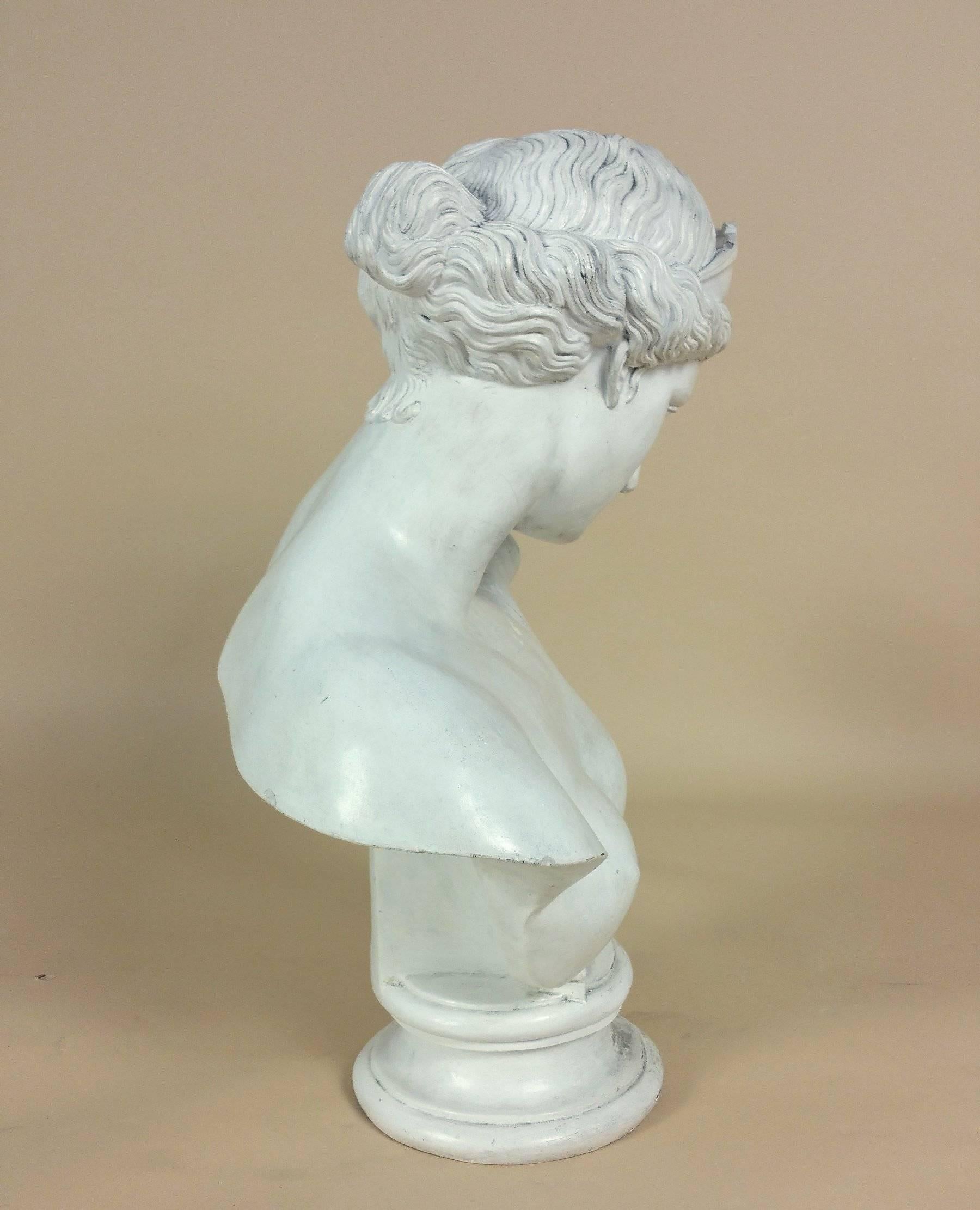 English Large 19th Century Plaster Bust of Venus after the Antique