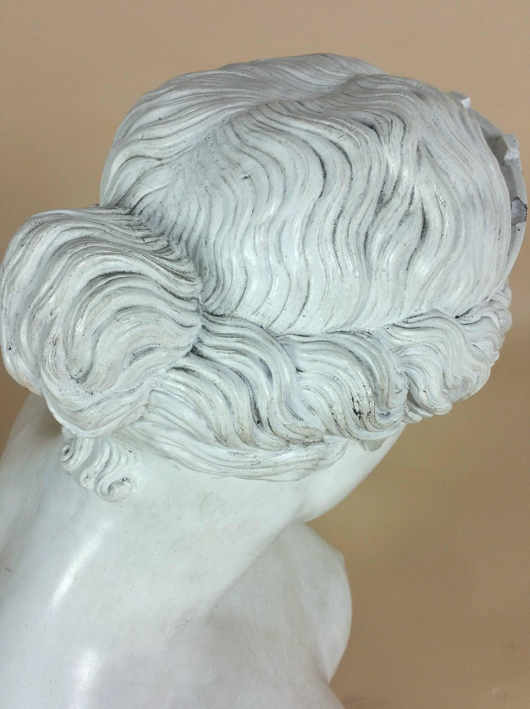 Cast Large 19th Century Plaster Bust of Venus after the Antique
