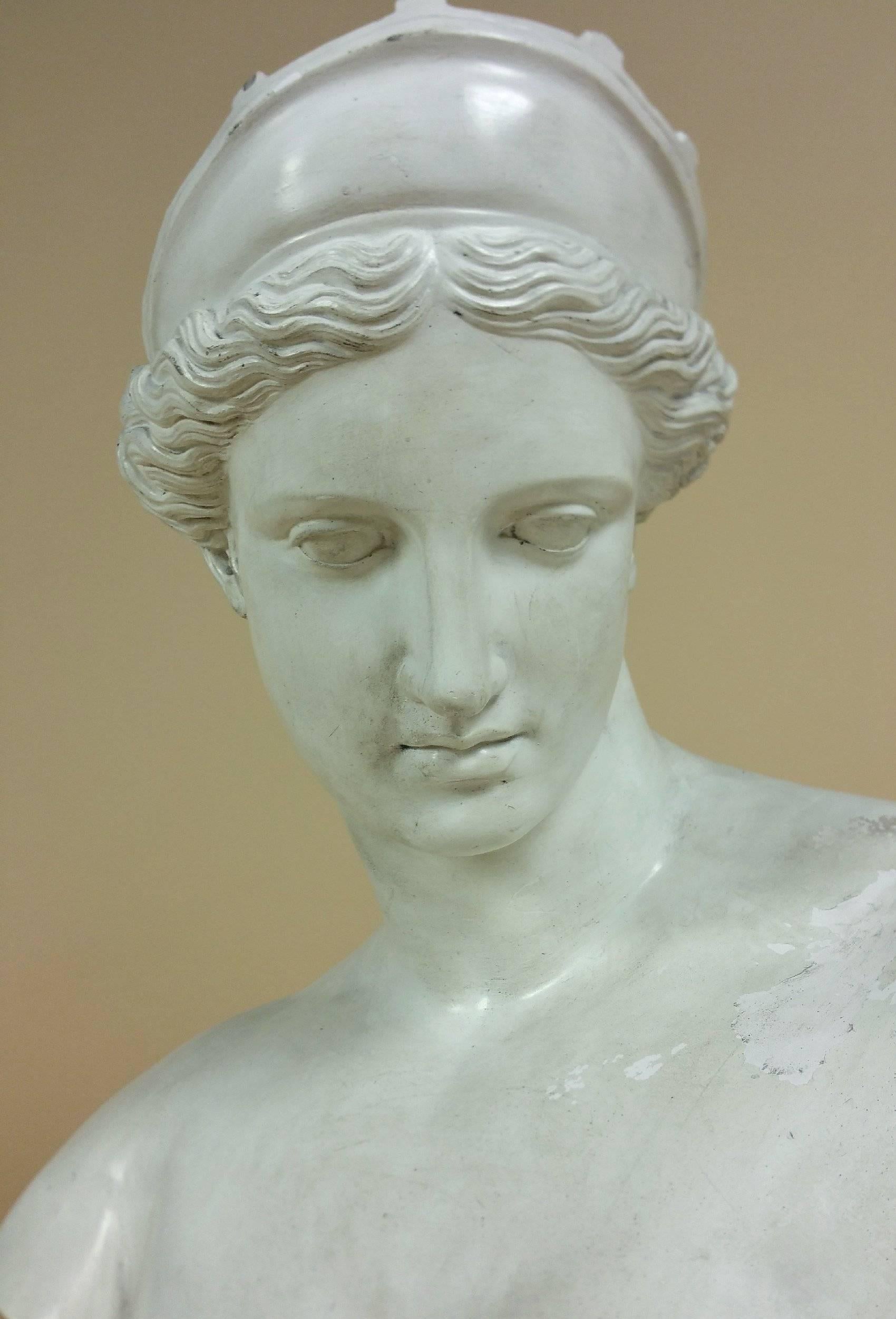 Large 19th Century Plaster Bust of Venus after the Antique 1