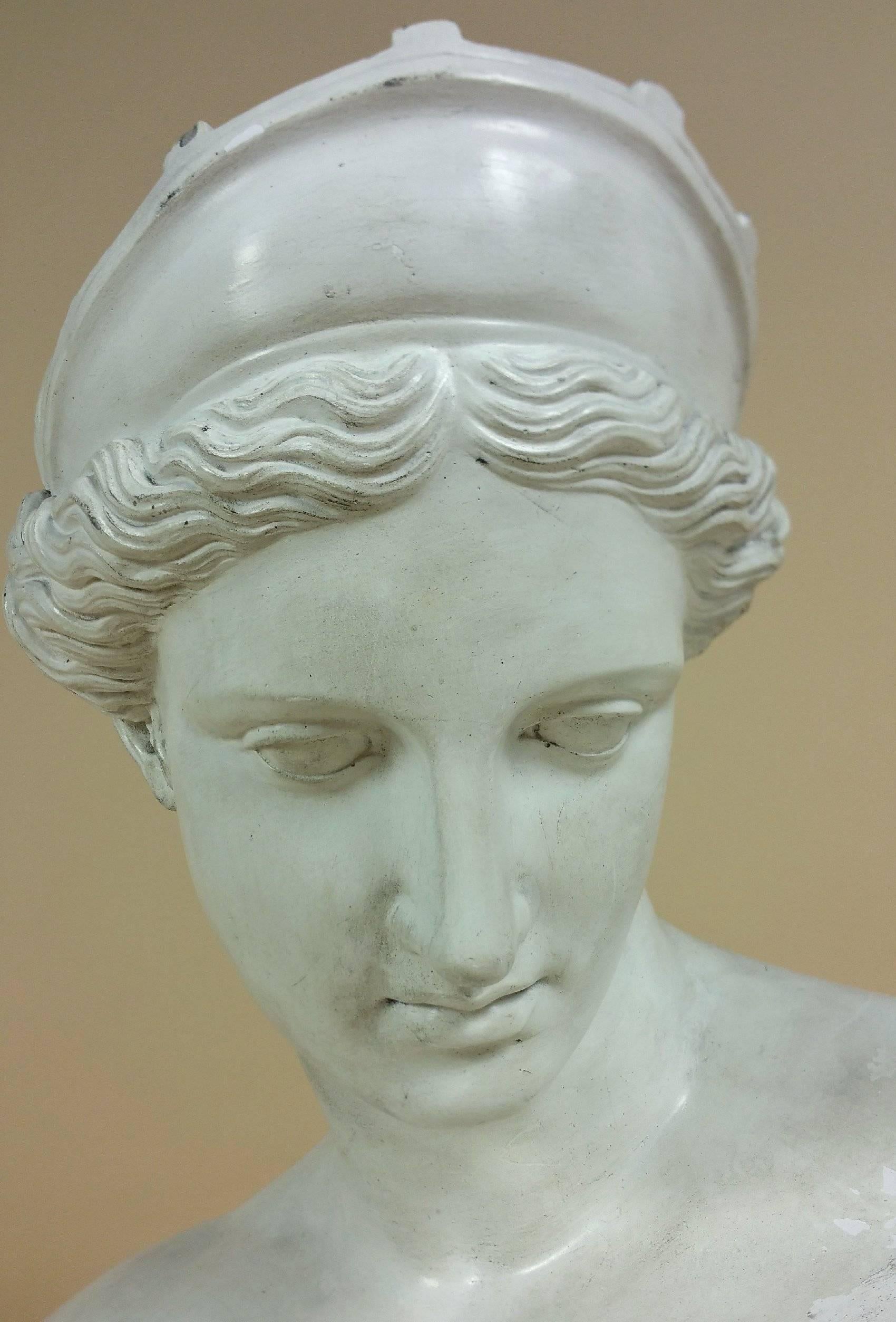 Large 19th Century Plaster Bust of Venus after the Antique 2