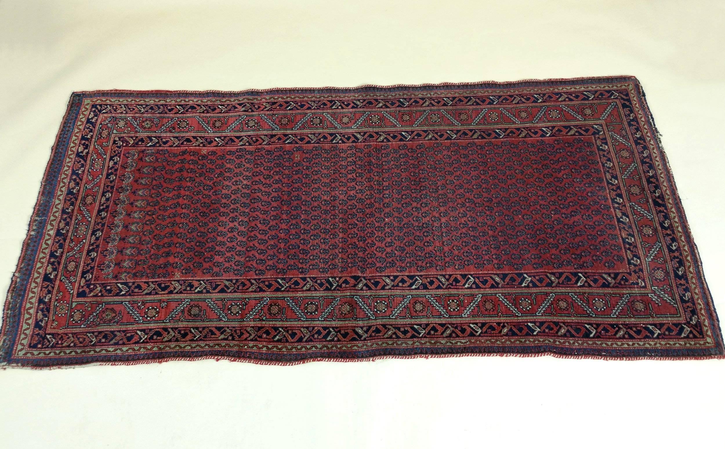 Early 20th Century Persian Red Ground Rug 4