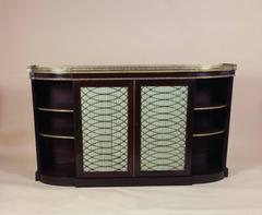 Regency Period Faux Rosewood Side Cabinet with Twin Brass Grill Doors