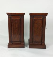 Pair of 19th Century Mahogany Pedestals with Greek Revival Carved Pilasters
