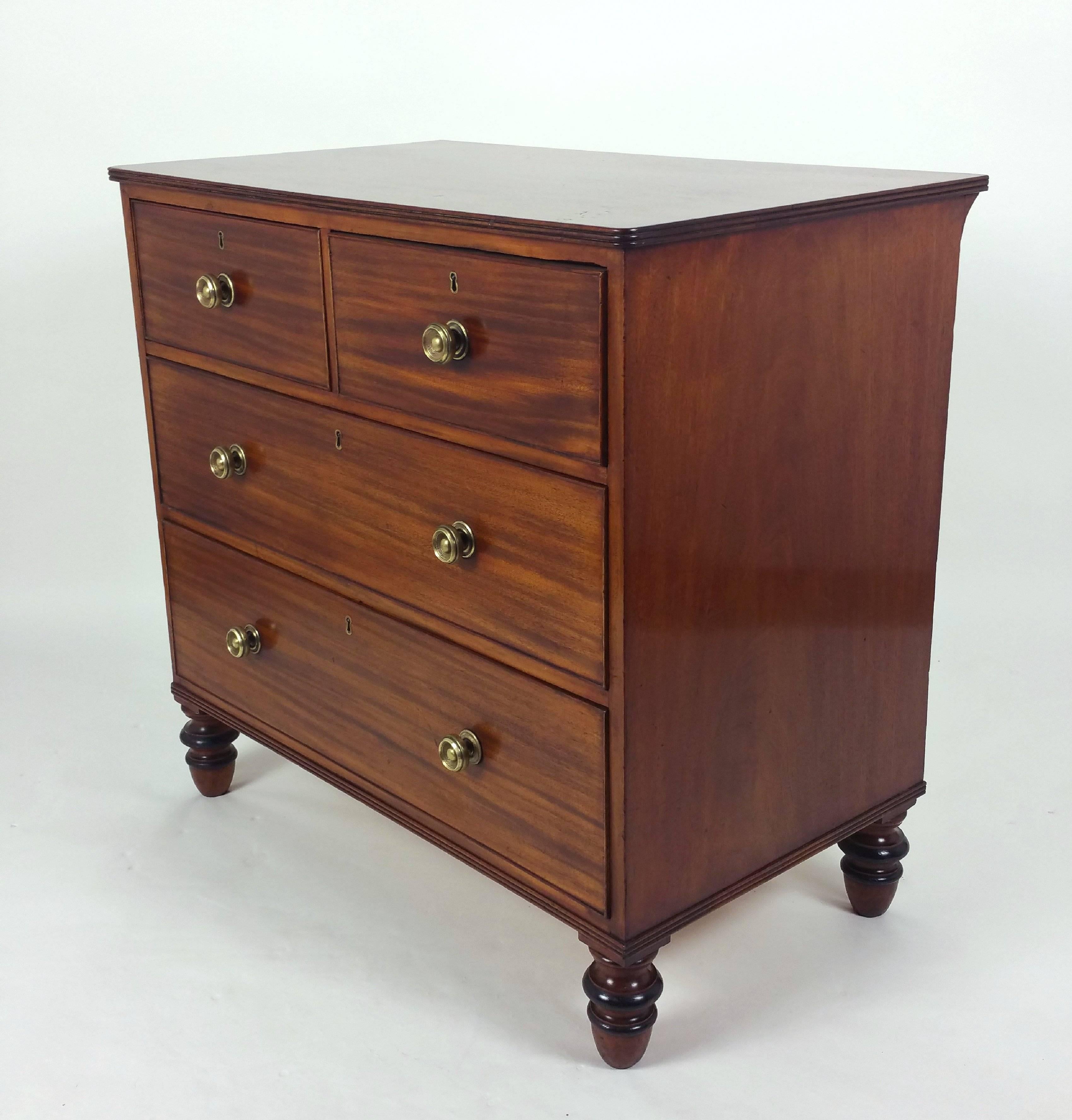 Brass Regency Figured Mahogany Low Chest of Drawers