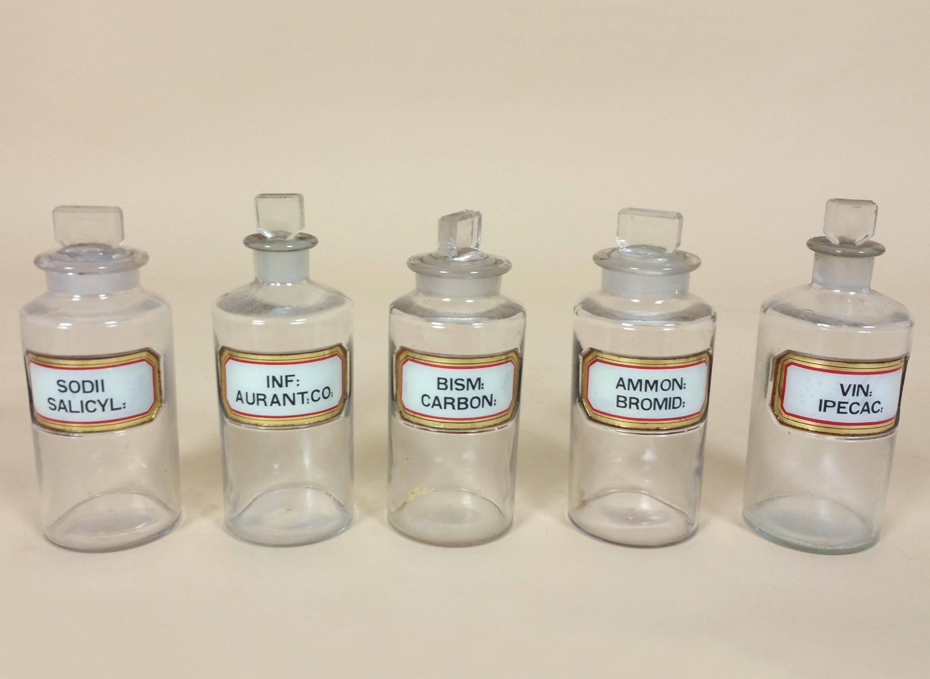 Set of 14 Early 20th Century Pharmacy Glass Jars with Rebated Gilt Labels For Sale 4