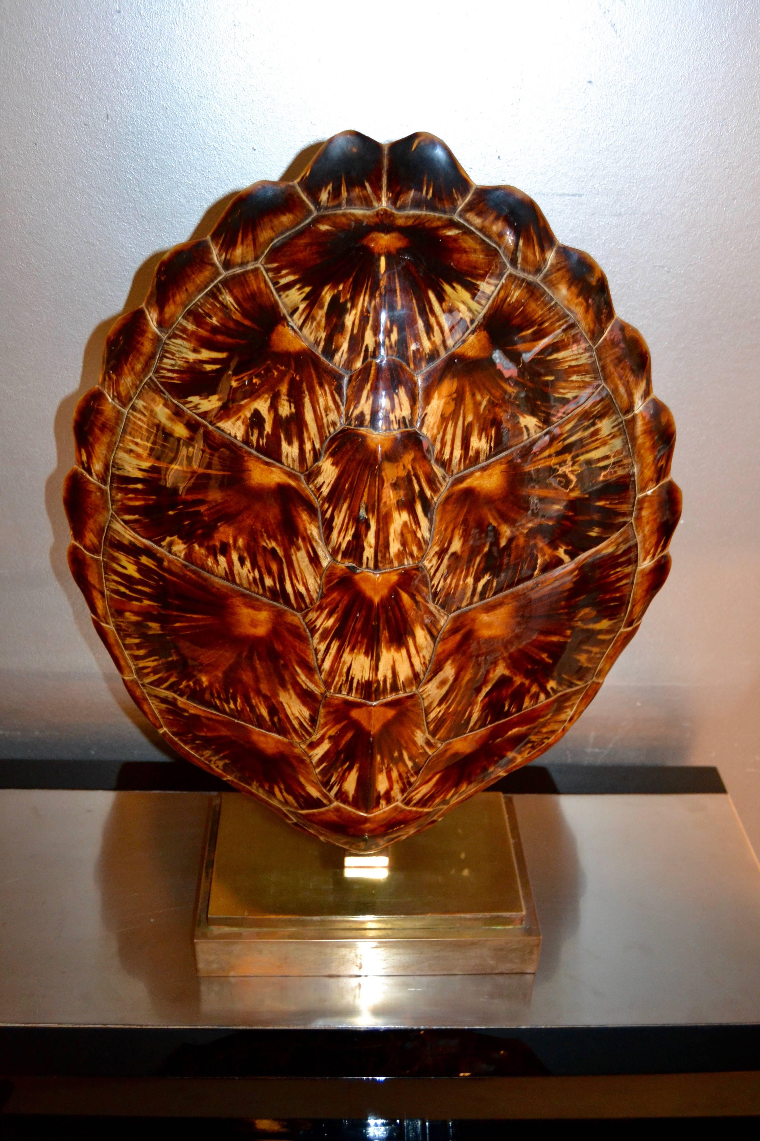 Late 20th Century 1970s Turtle Shell Lamp