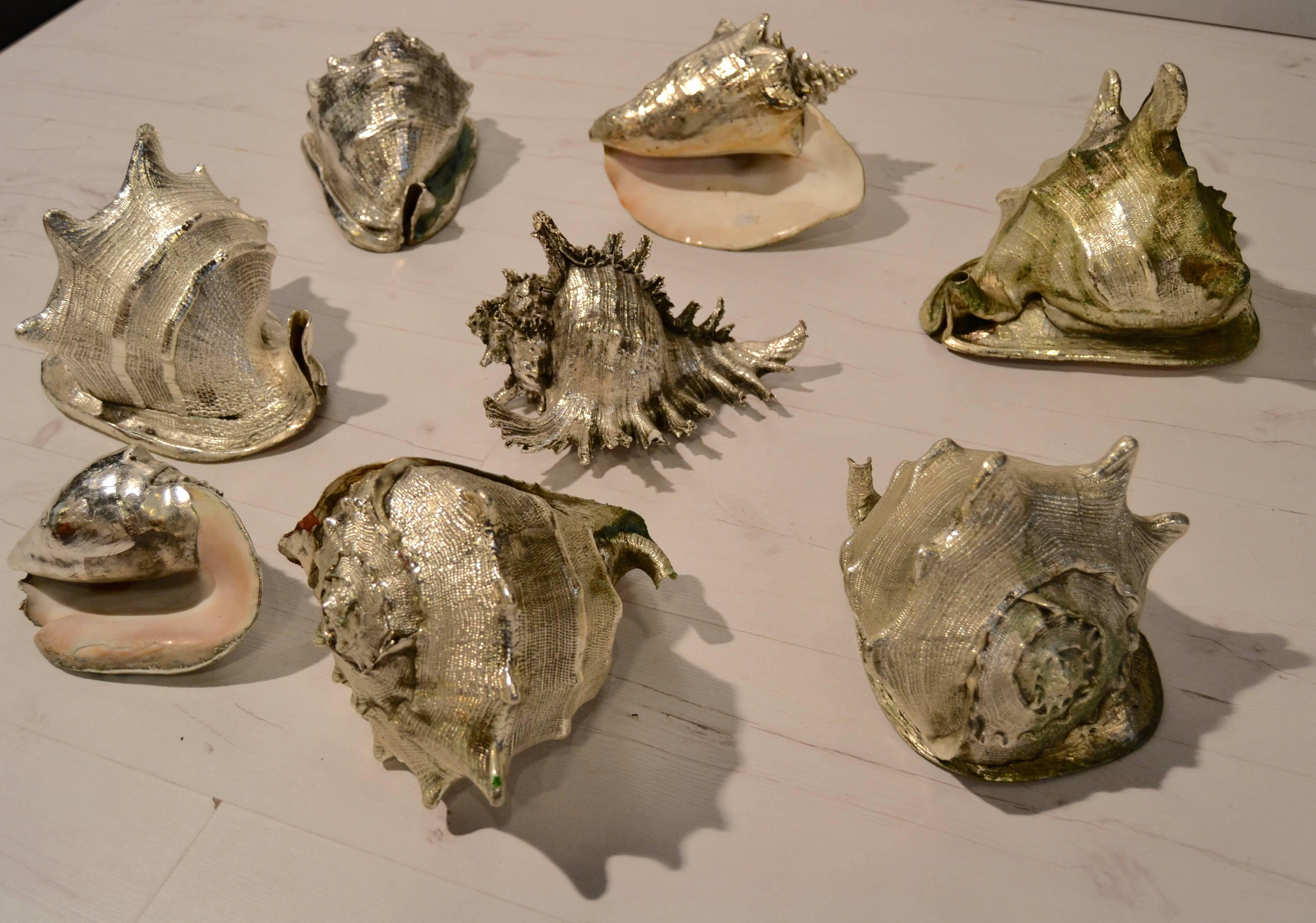 Set of eight real silvered sea shells probably by Mario Buccellati.
This shells are covered with a silver sheet.
Each shell dimension are about 22 cm diameter.
Great vintage condition.
   
   