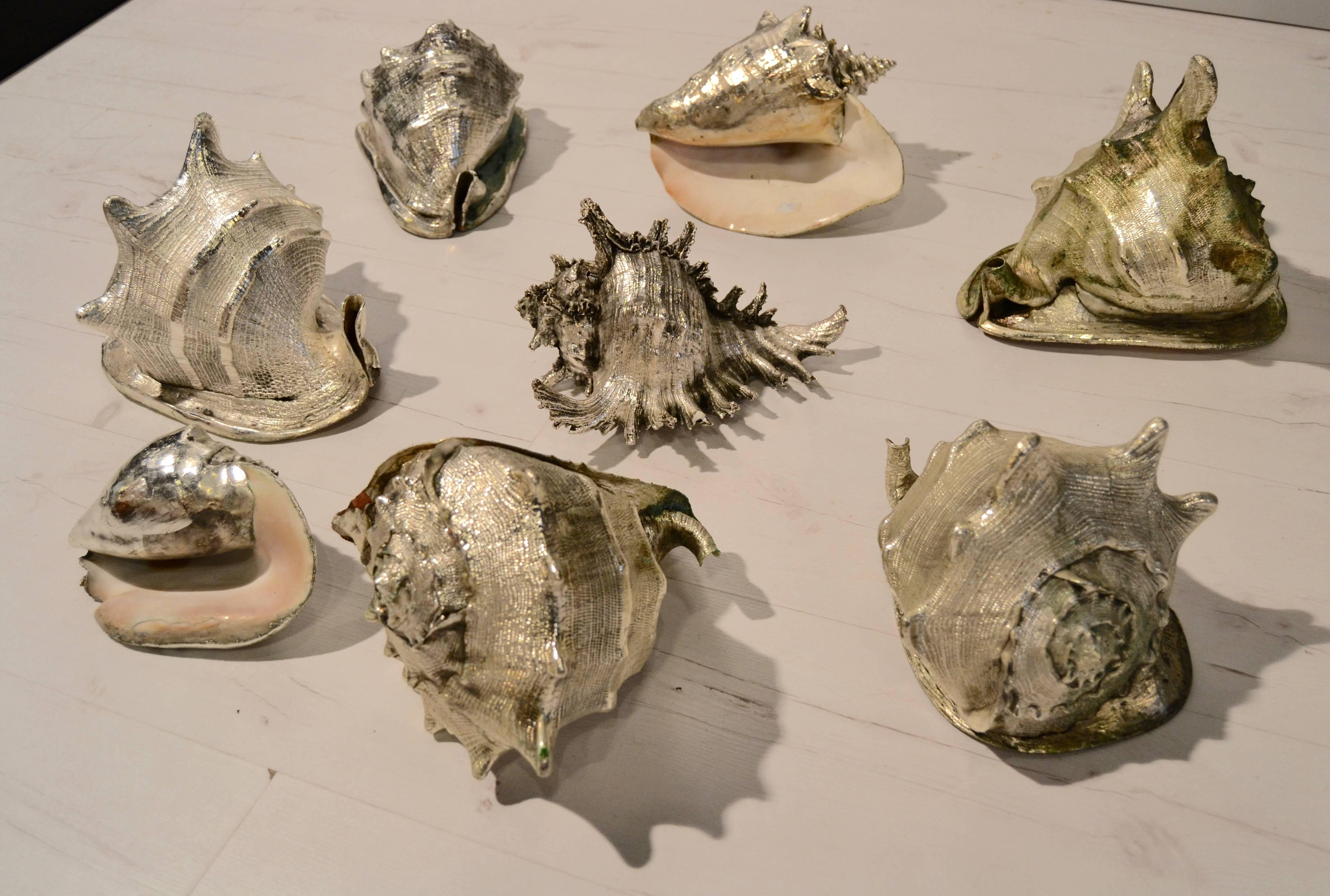 Mid-Century Modern Set of Eight Silvered Sea Shells by Buccellati