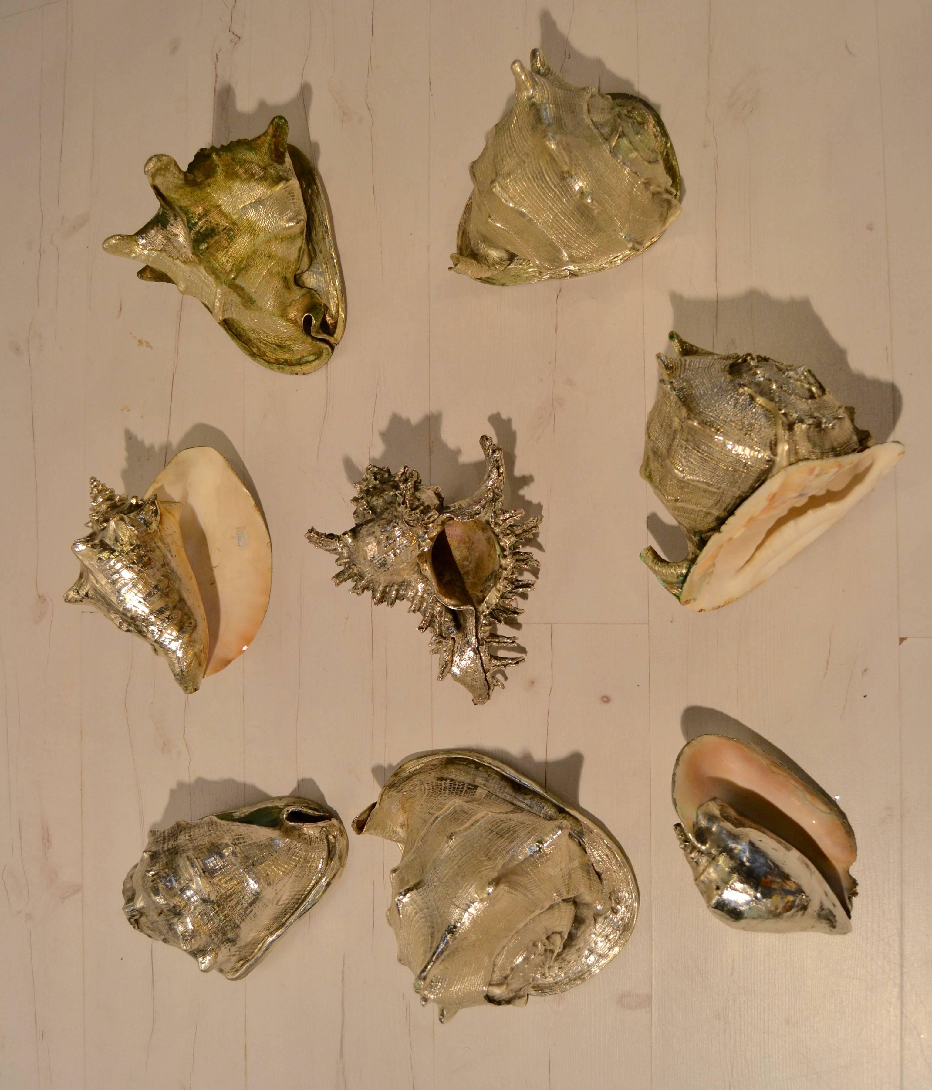 Late 20th Century Set of Eight Silvered Sea Shells by Buccellati