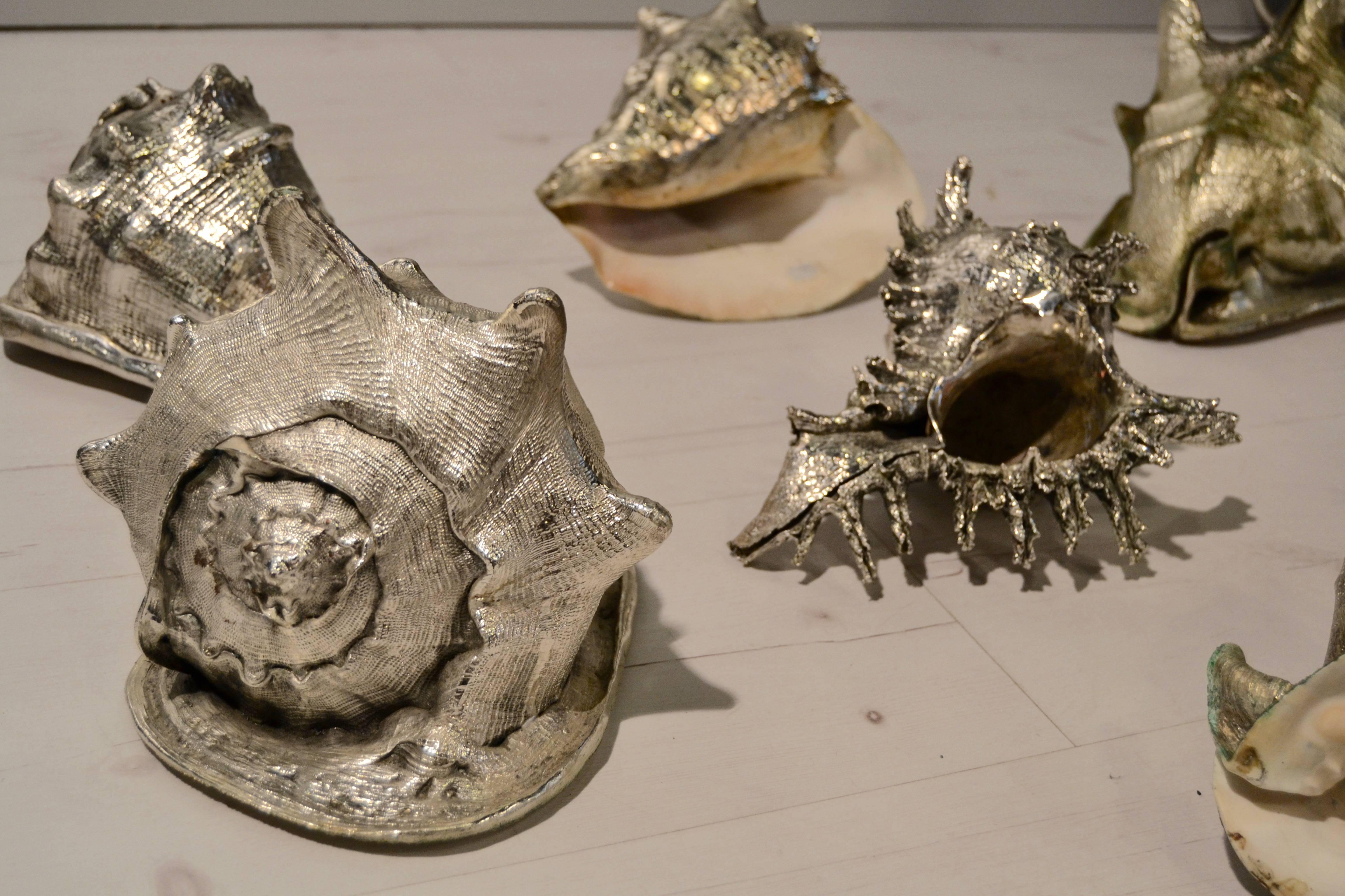Italian Set of Eight Silvered Sea Shells by Buccellati