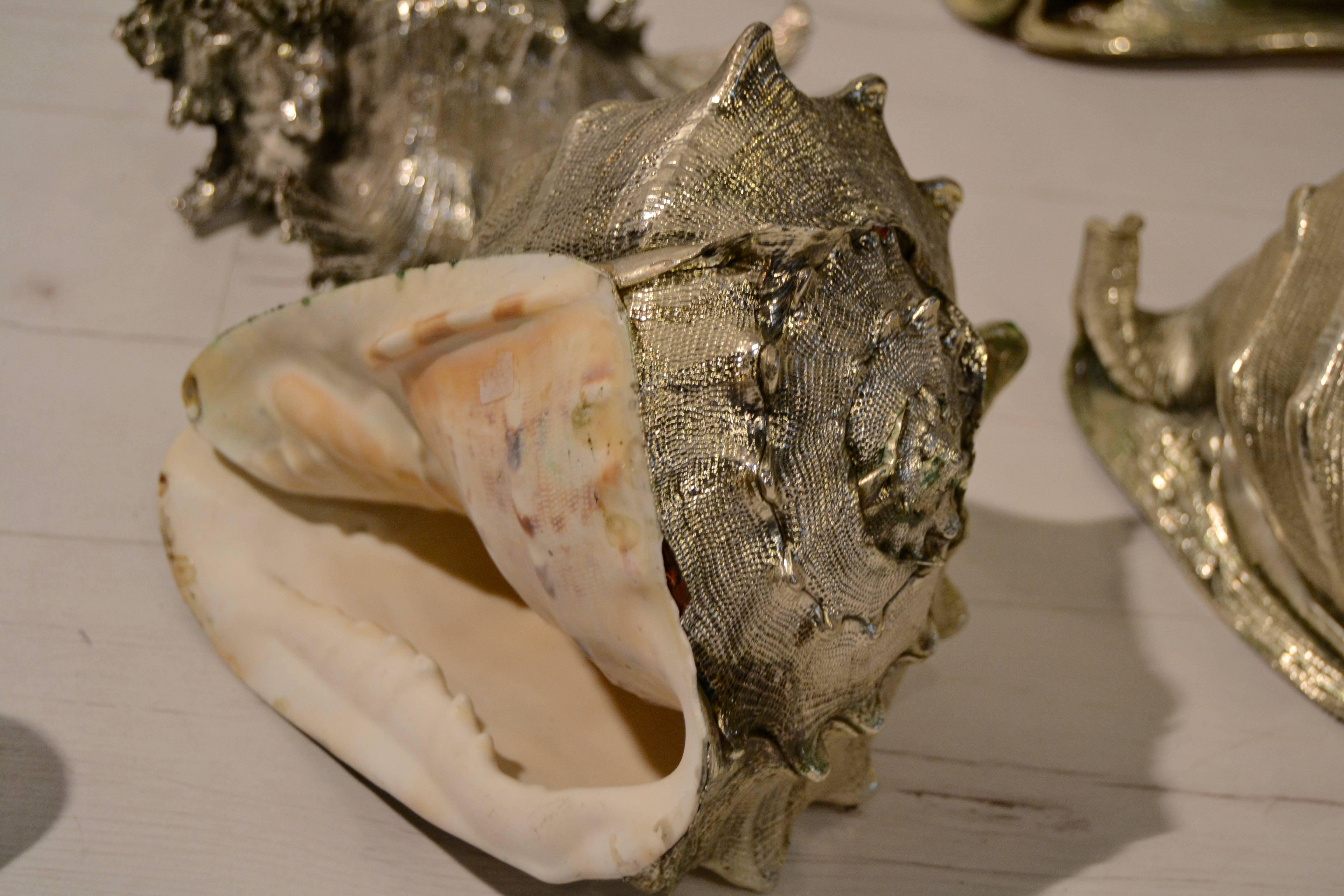 Set of Eight Silvered Sea Shells by Buccellati 2