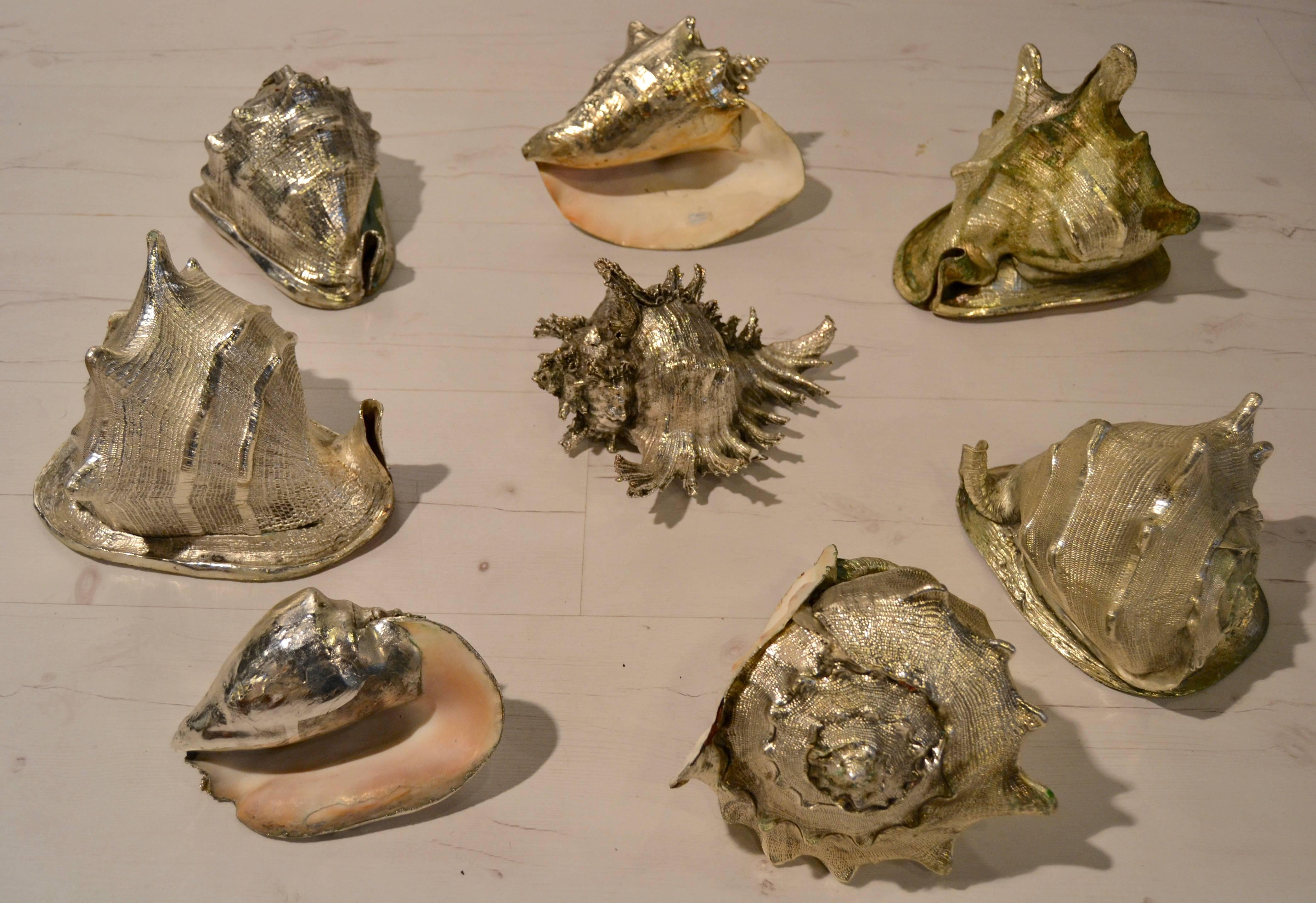 Set of Eight Silvered Sea Shells by Buccellati 3