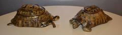 Scatole per tartarughe in ottone degli anni '70