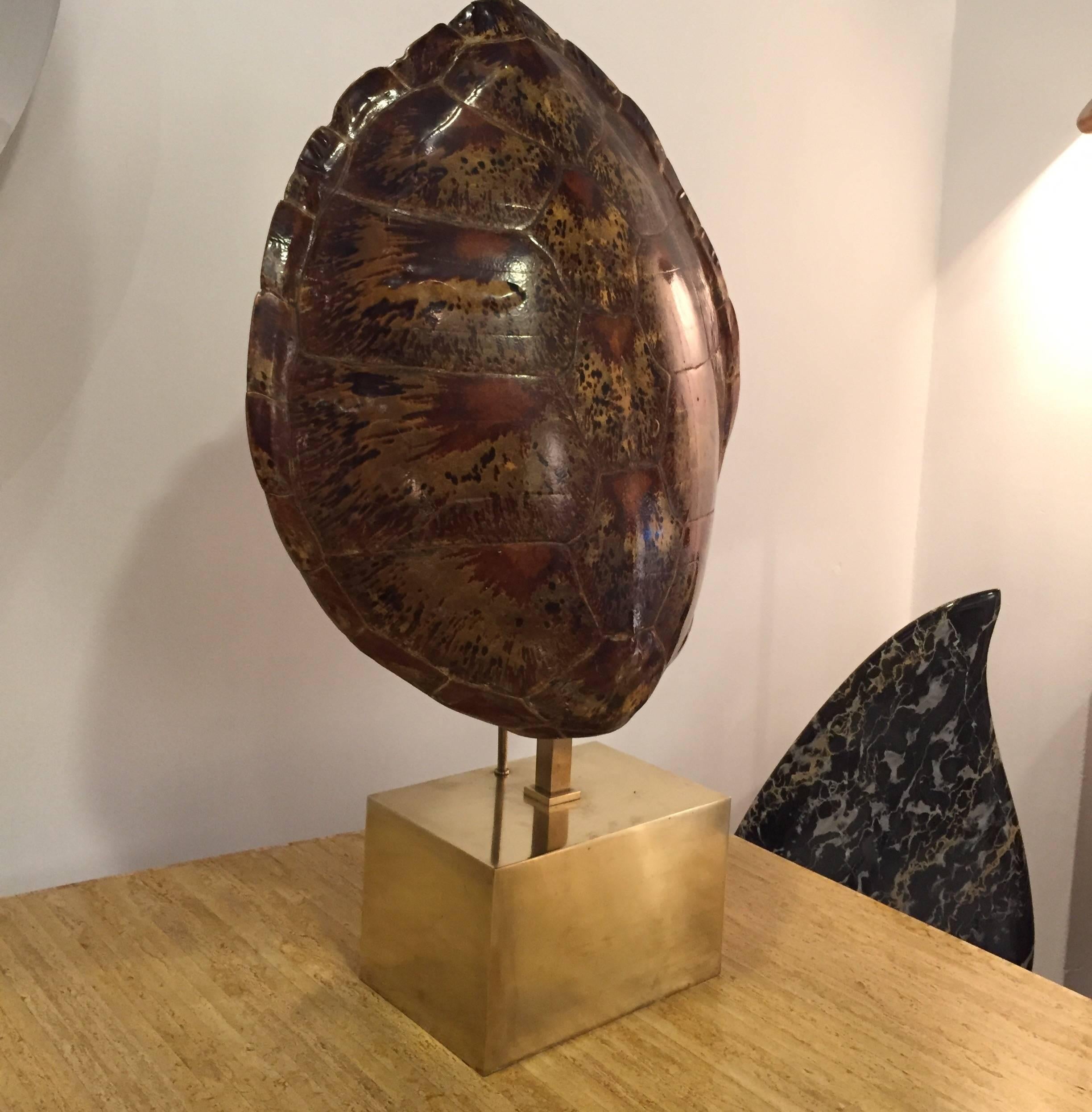 Mid-Century Modern Turtle Shell Lamp Mounted by Willy Daro