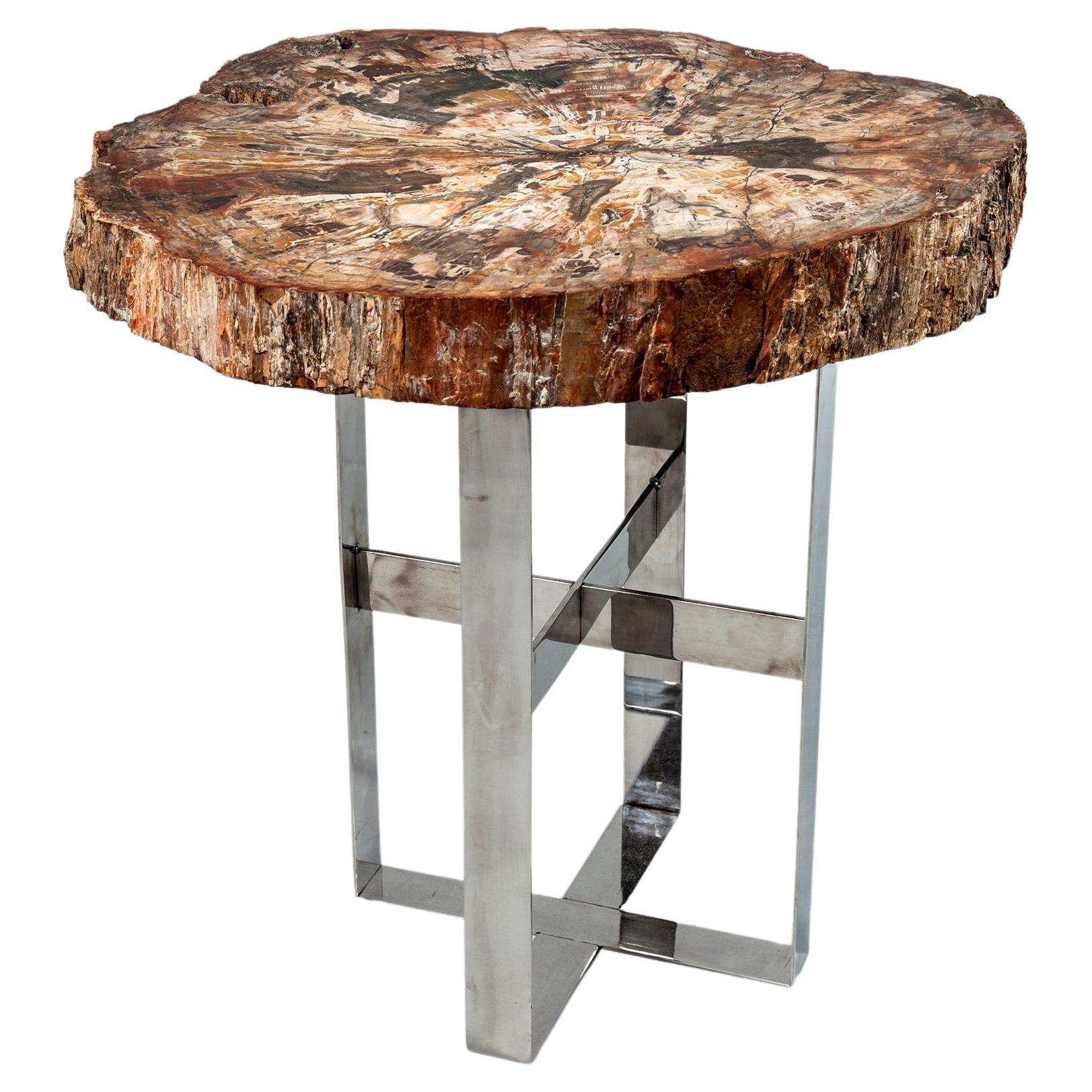 Cocktail Table with Fossil Top on Steel Base, Prehistoric Period For Sale