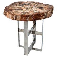 Antique Cocktail Table with Fossil Top on Steel Base, Prehistoric Period