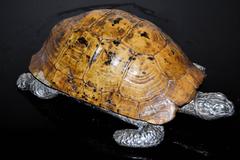 1970s Gabriella Crespi Turtle Box