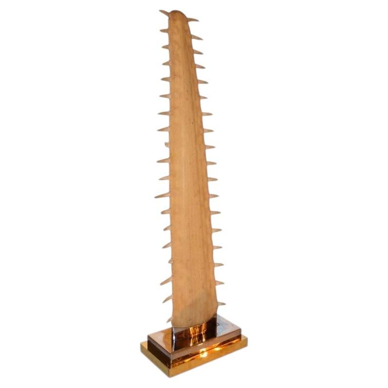 Large 1970s Sawfish Rostrum Sculpture Mounted on Brass and Chrome Base
