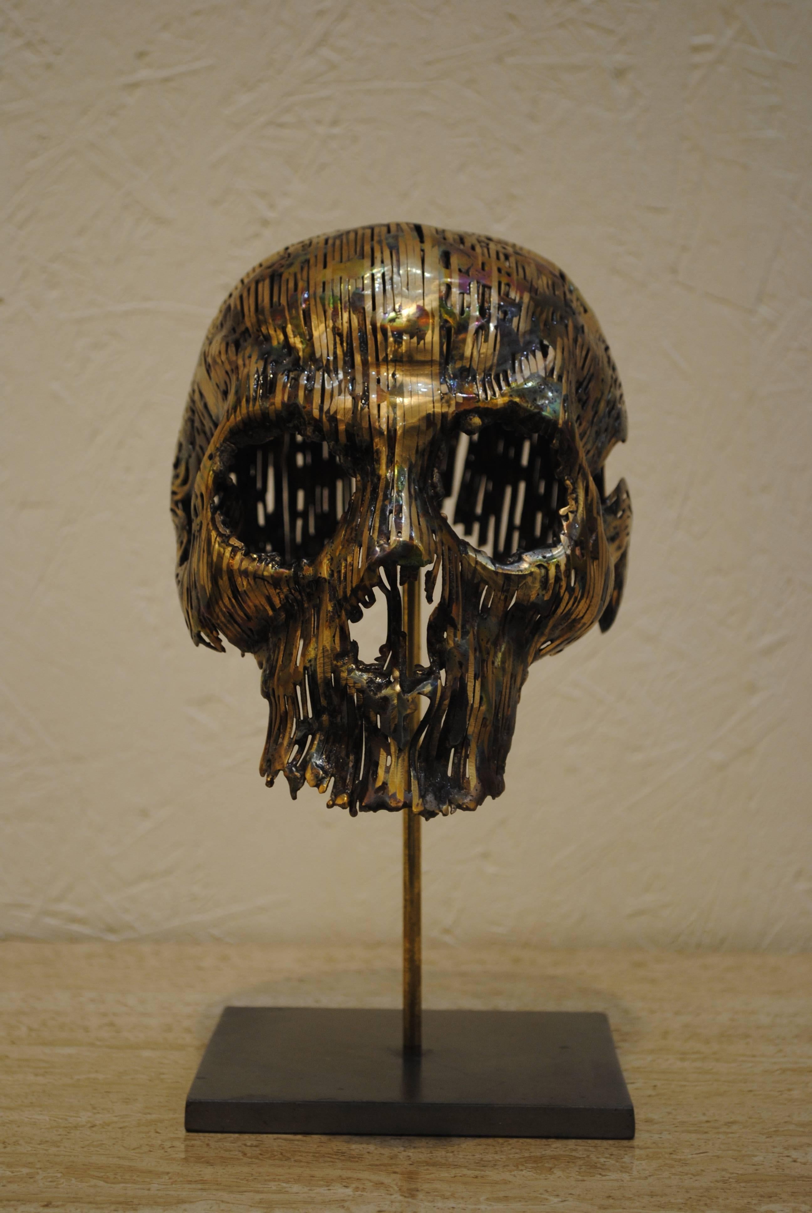 The 'Blue Skull' sculpture by Romain de Souza is a one of a kind artwork with a rare combination of darkness and lightness. Extremely high quality execution with a true sensibility. Polished and oxydated copper, brass and iron. Piece unique.