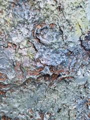 "My Malibu Blue" Earthy and Textural Work by Ricardo Ramirez