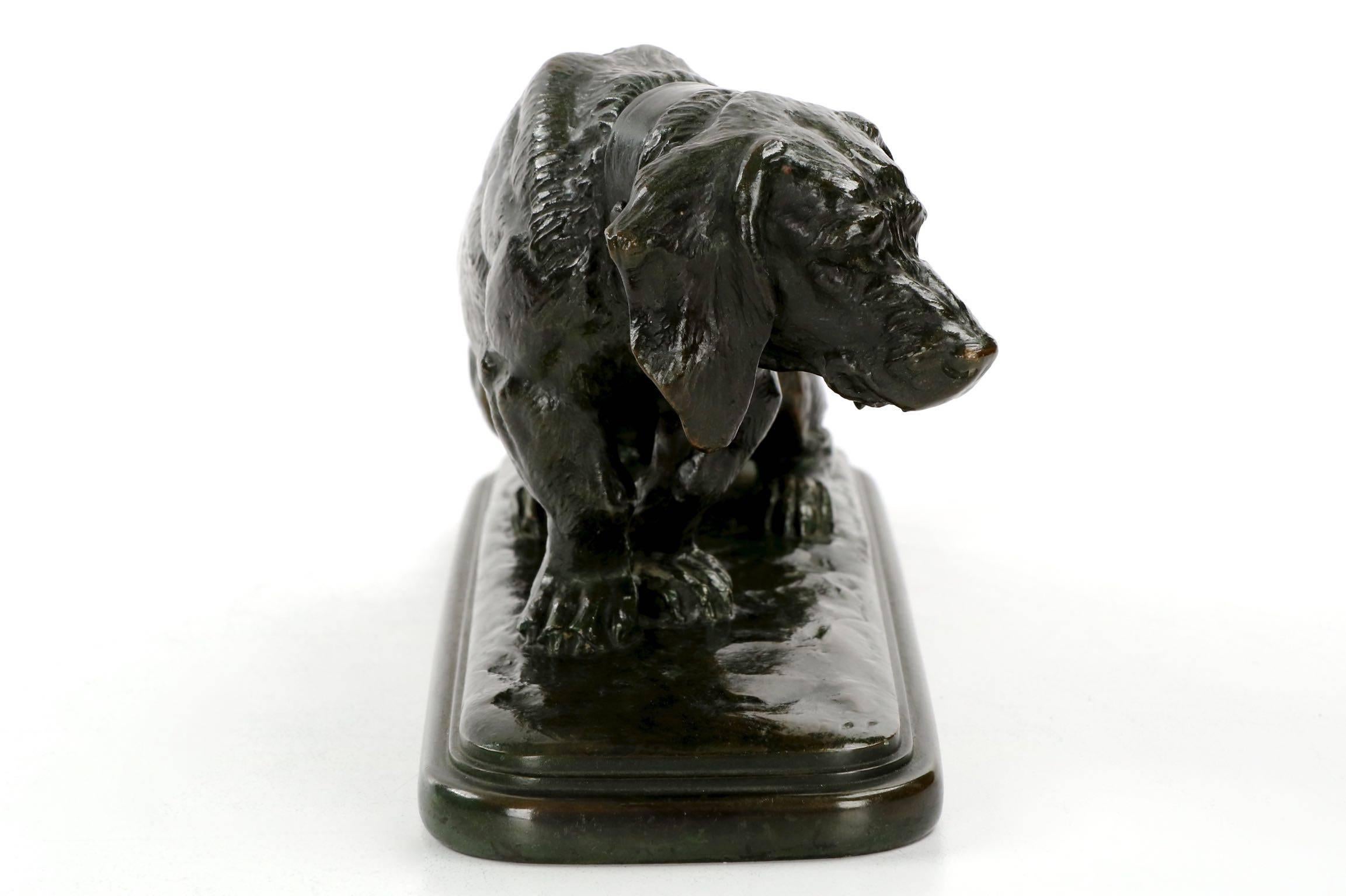 French Antoine-Louis Barye Bronze Sculpture of Basset Hound, Barbedienne, circa 1877