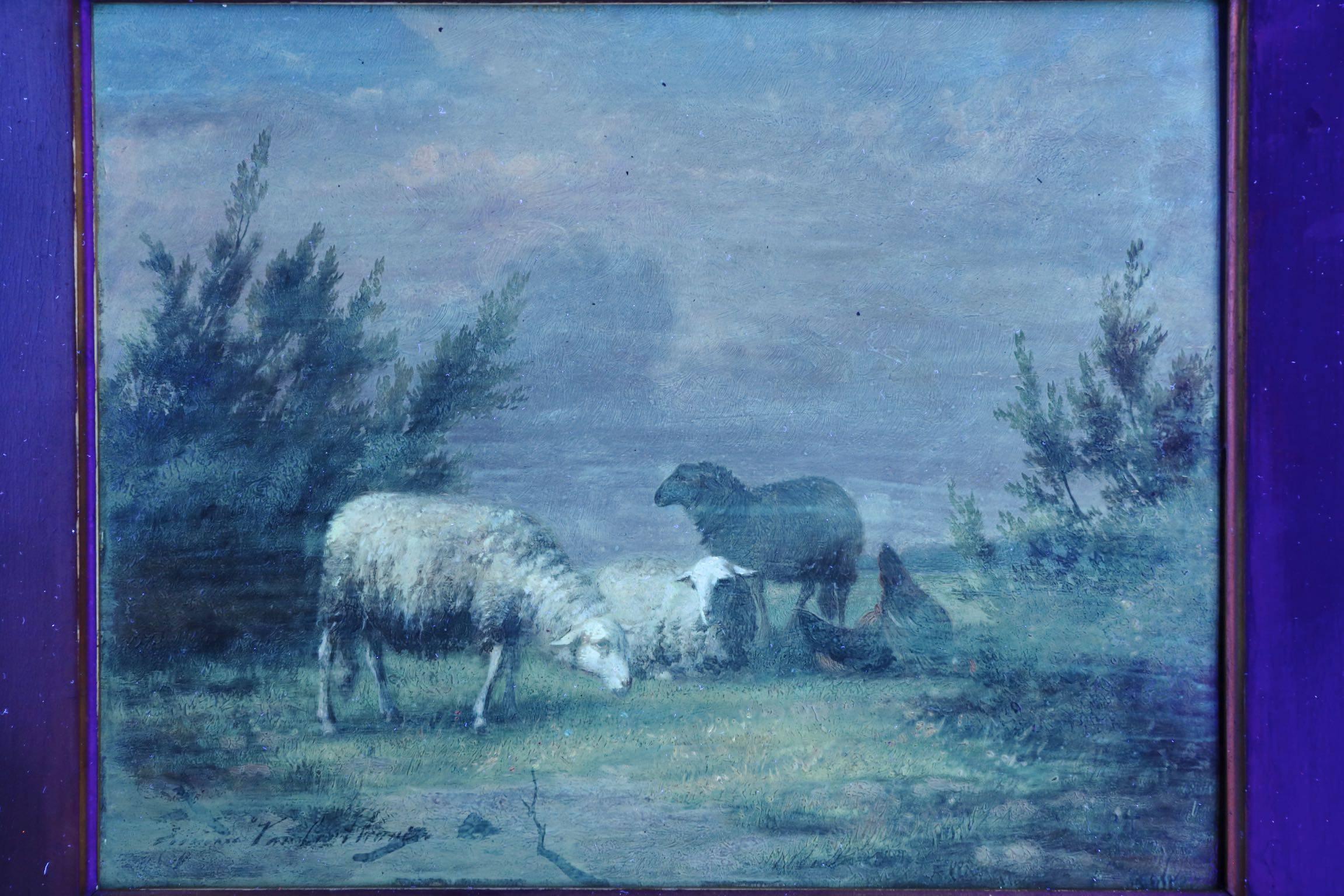 paintings of sheep in pasture