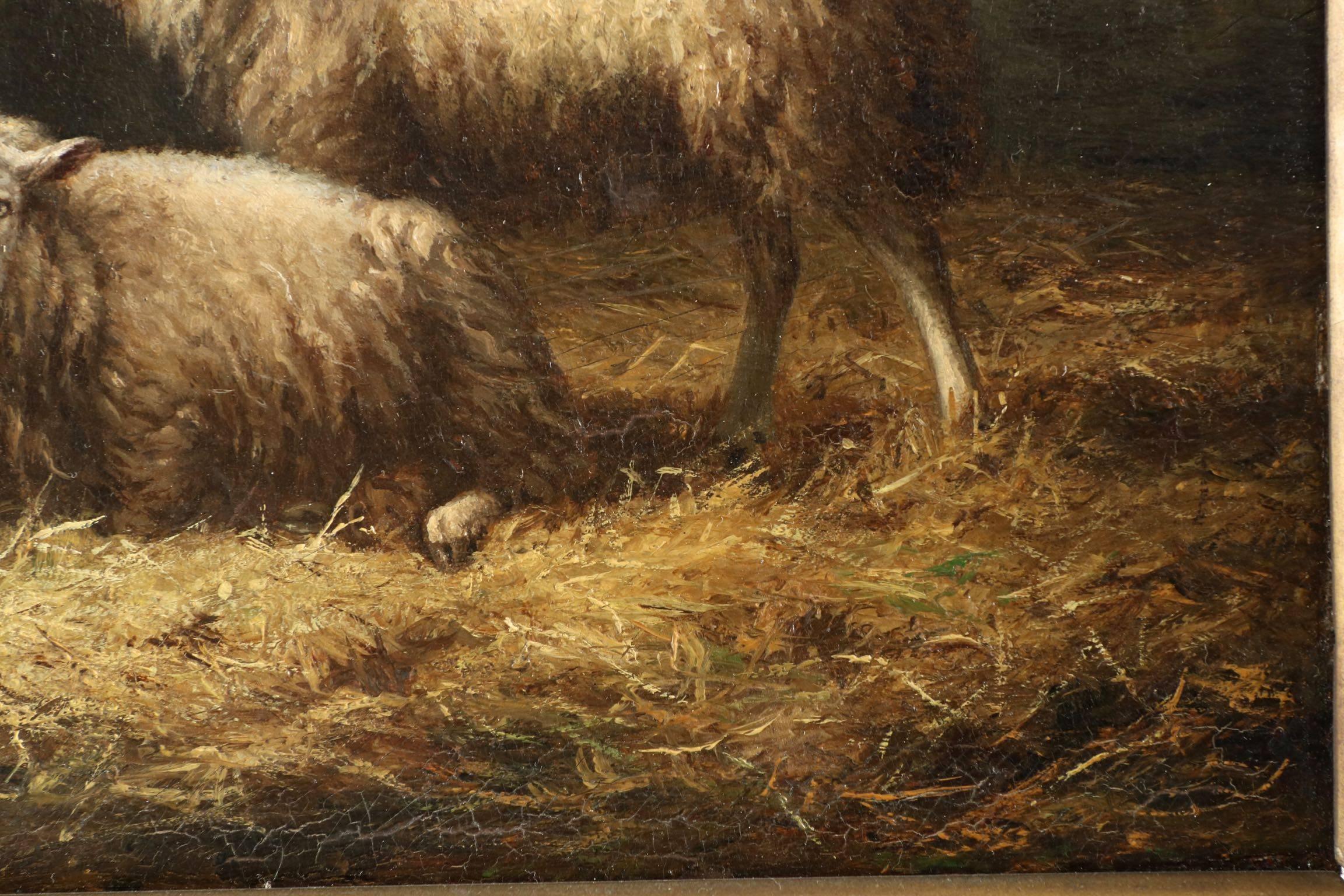 Belgian Albert Smets Antique Oil Painting of Three Sheep in Barn, circa 1878