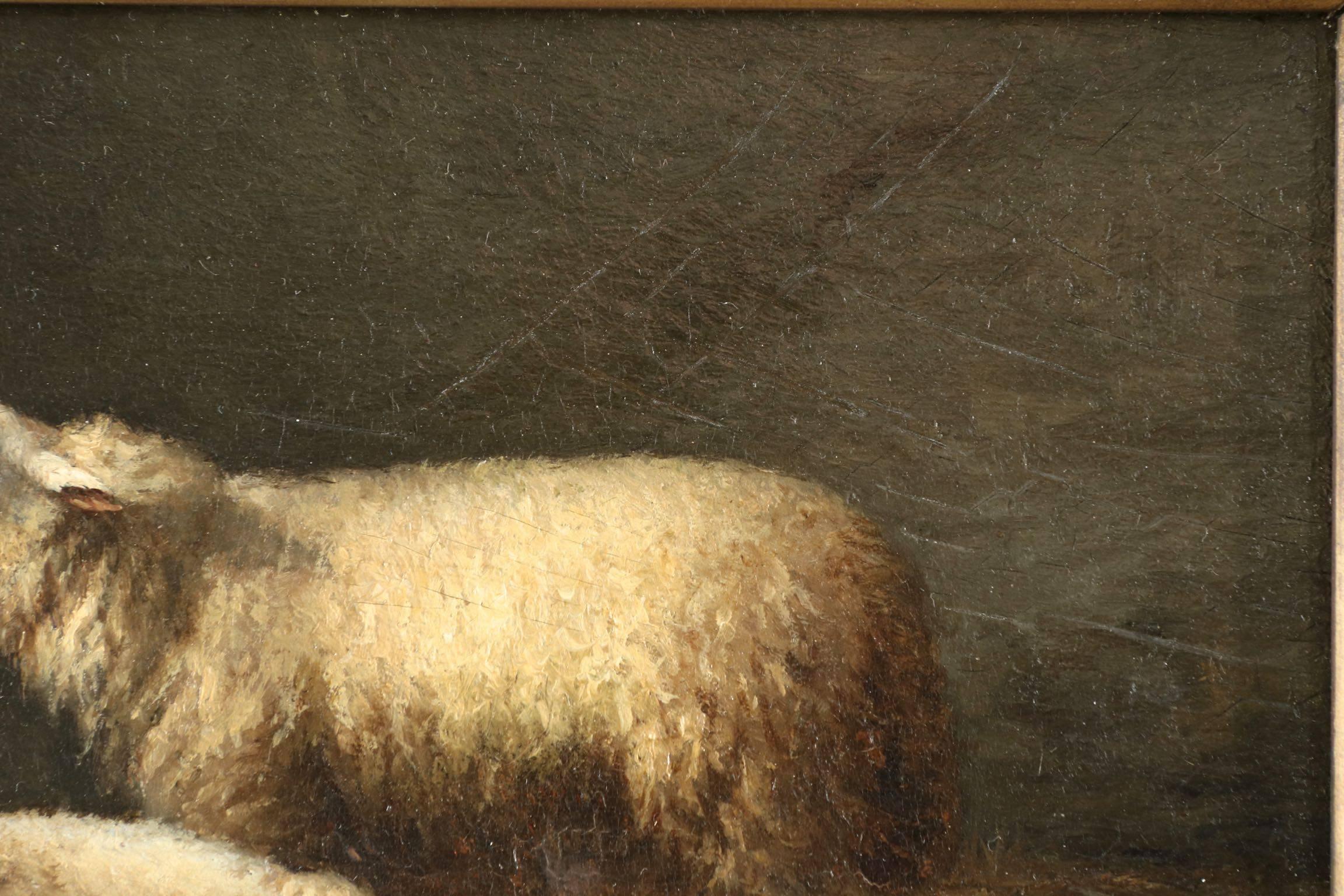 vintage sheep art