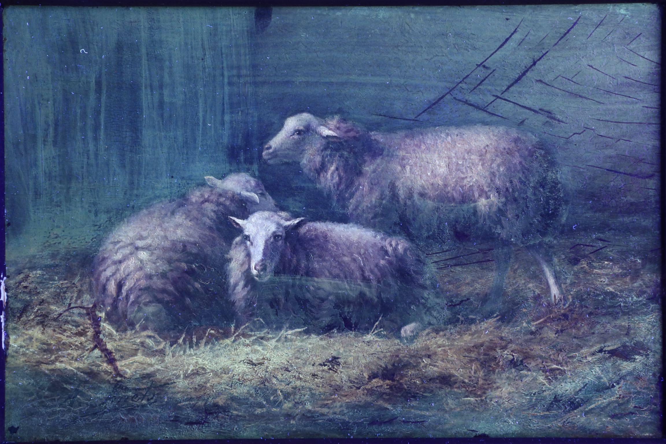 Wood Albert Smets Antique Oil Painting of Three Sheep in Barn, circa 1878