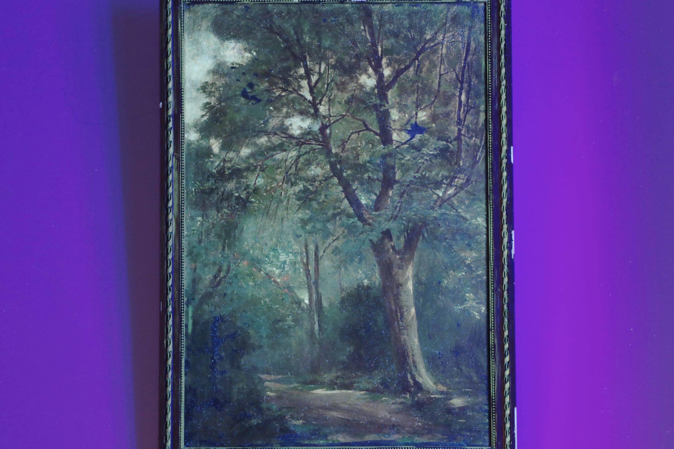 19th Century French Barbizon School Antique Painting of a Forest Scene 3