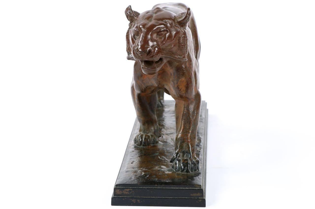 An exquisitely detailed cast of Antoine-Louis Barye’s model of a marching tiger, this fine sculpture captures the proud beast in a leisurely pace. It’s head is held high and powerful body modeled with the precise and technical realism typified in