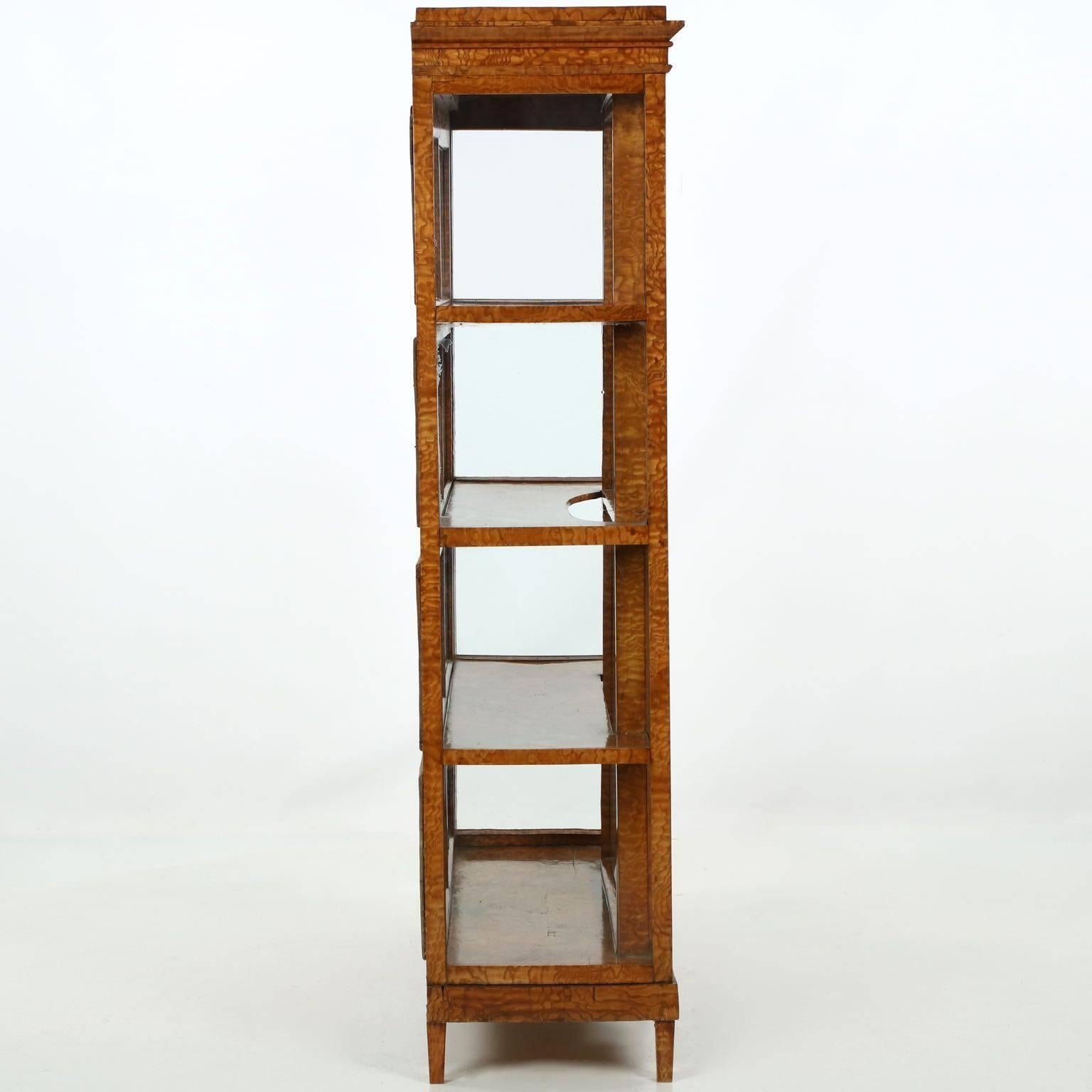 Exceptional Biedermeier Olivewood Glazed Pane Vitrine Bookcase Cabinet In Excellent Condition In Shippensburg, PA