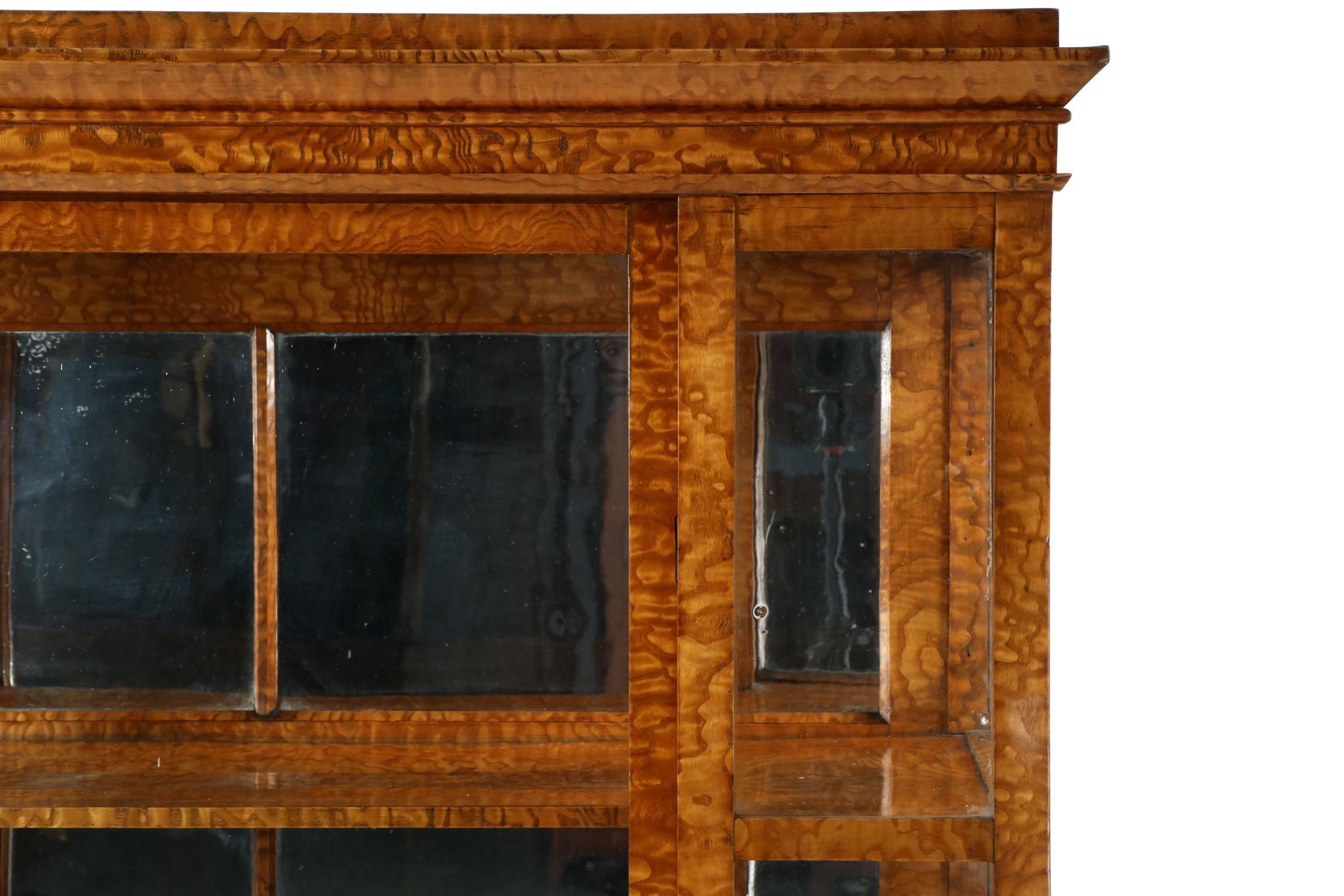 19th Century Exceptional Biedermeier Olivewood Glazed Pane Vitrine Bookcase Cabinet