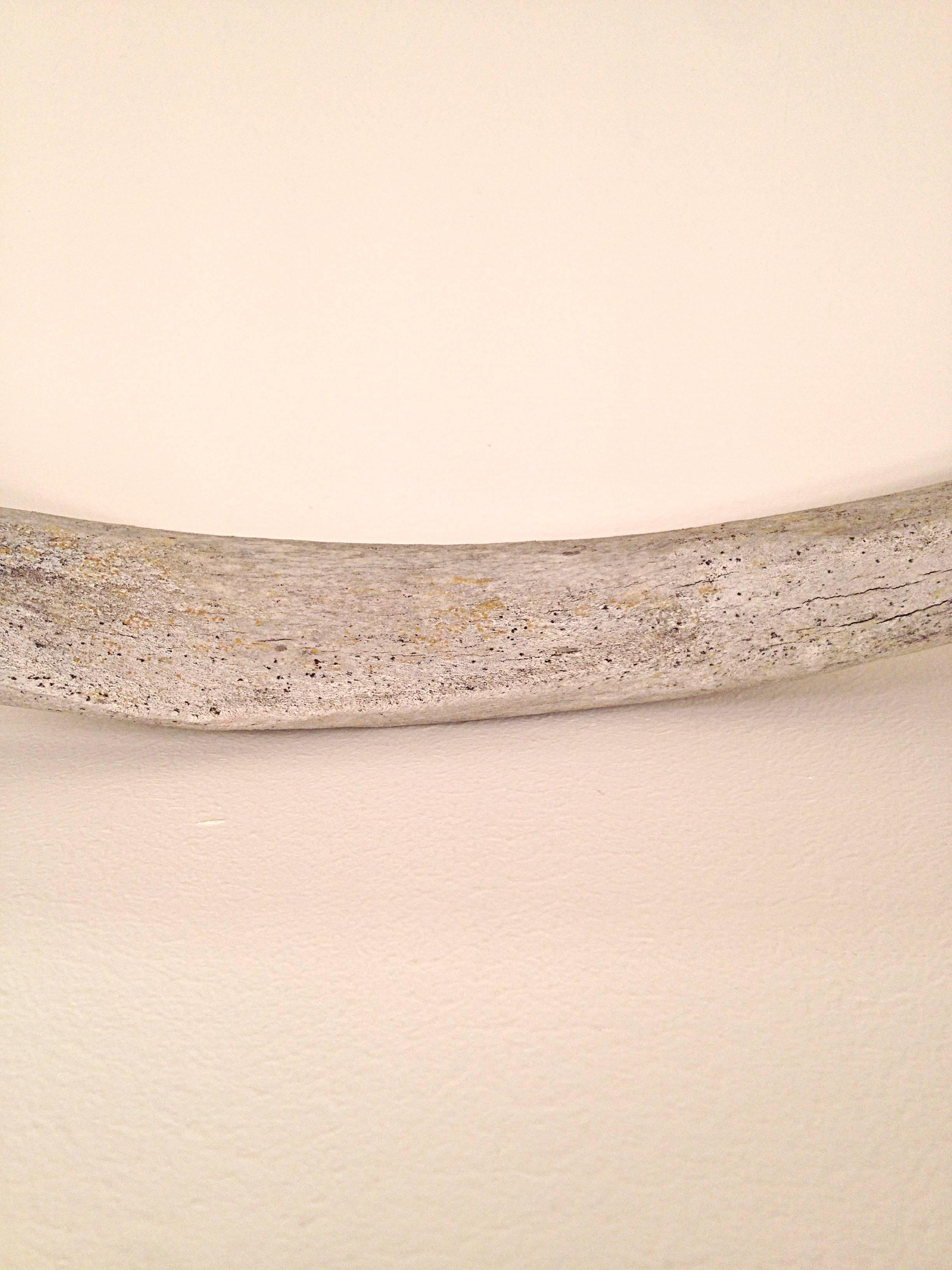 Large beautifully weathered whale rib bone, wonderful patina (three available) I Standing height 45