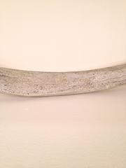 Large 19th Century Whale Rib Bone