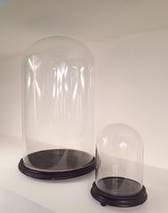Two French Antique Glass Domes, 19th Century