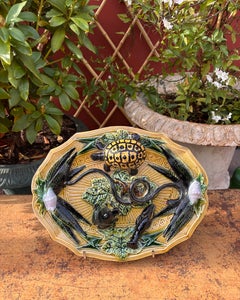 Beautiful majolica plate with a turtle, follower of Palissy, 20th century