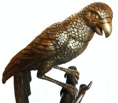 Bronze Parrot  on a Perch