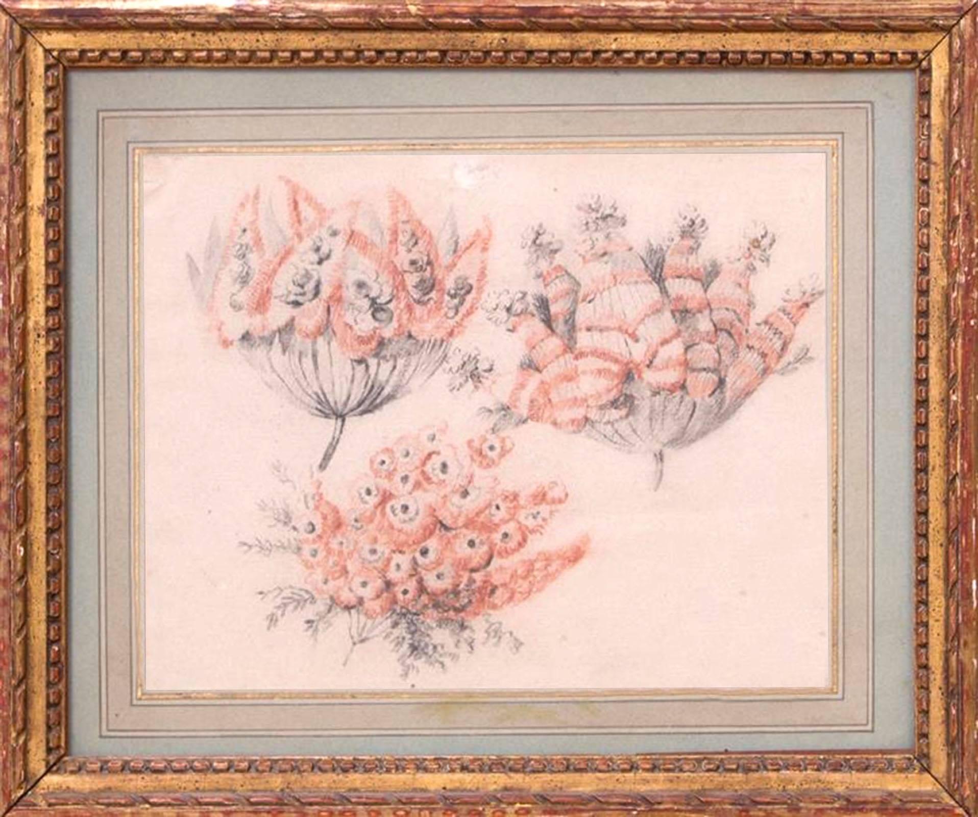 These two drawings by are by Jean Pillement, the well-known French artist of the Rococo period. They were executed in red and black chalk, and depict fantastical flowers he invented -- one specimen even has flower buds growing out of leaves. They