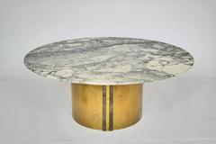 Mid-Century Polished Marble and Bronze Brass Low Coffee Table