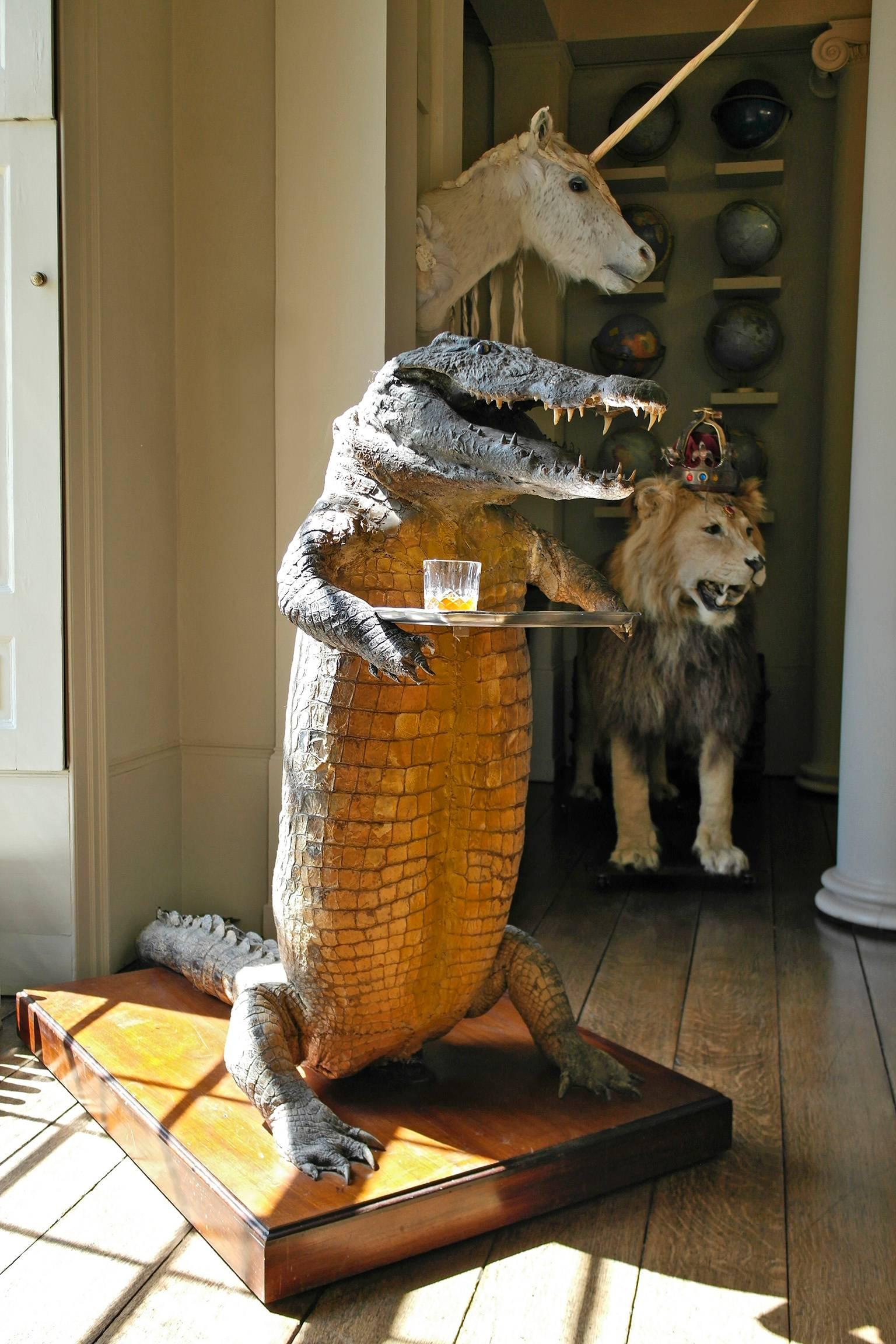 alligator mounts
