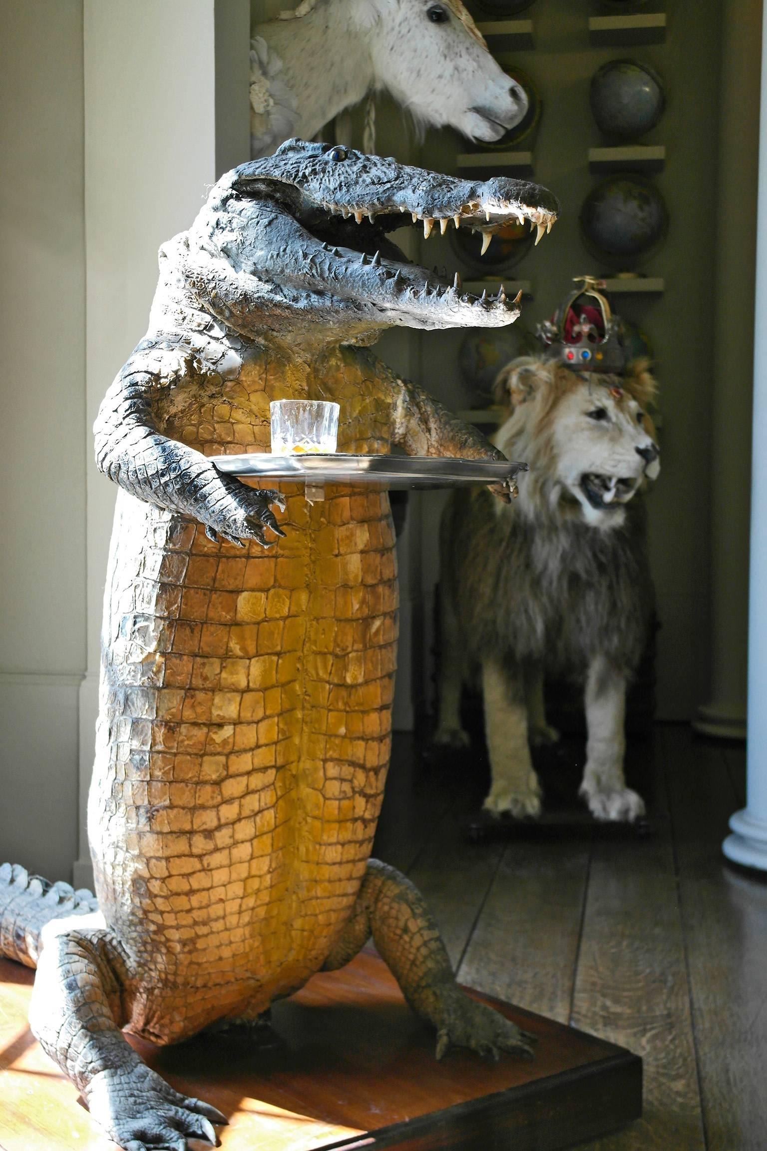 20th Century Taxidermy Crocodile Waiter 1