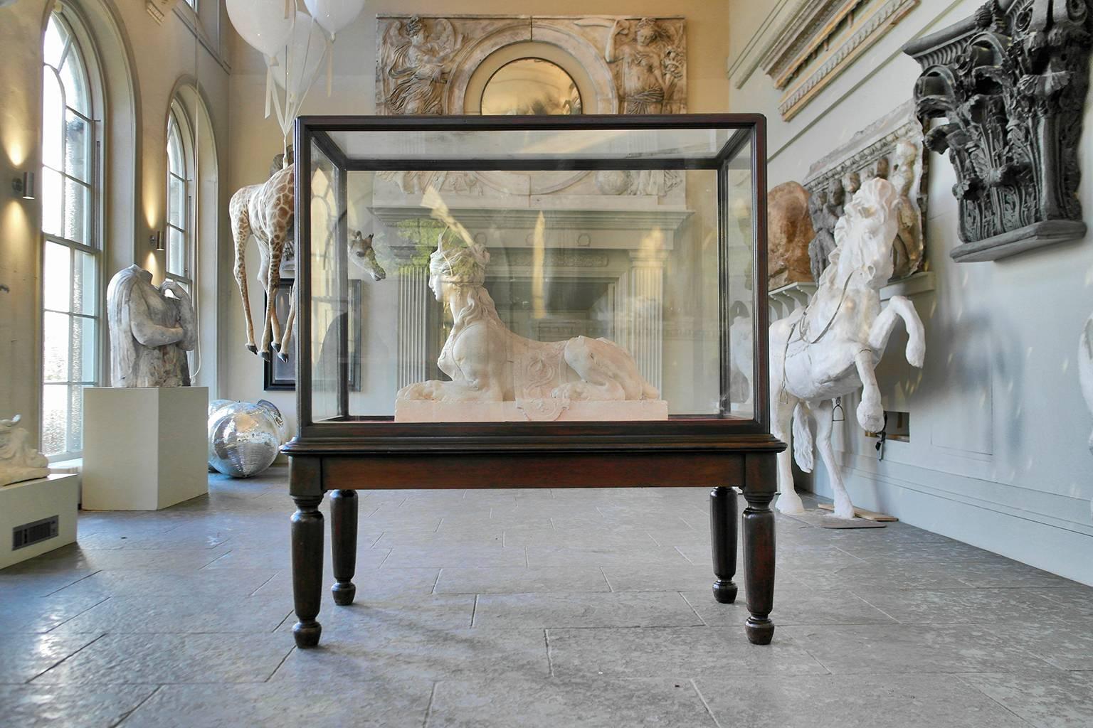 Large glazed museum display cabinet with red velvet trim, early 20th century.

More available.