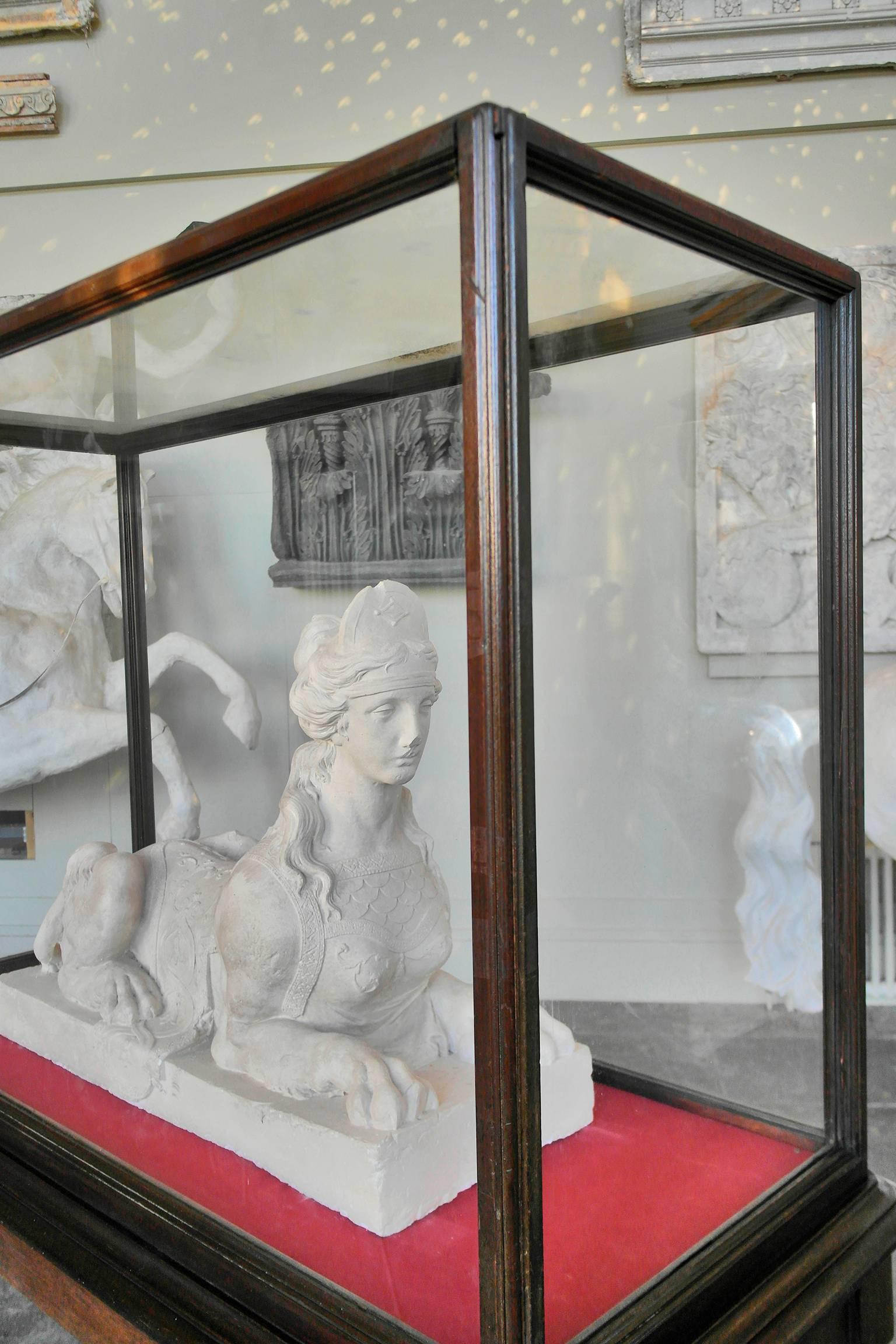 Edwardian 20th Century Monumental Glazed Museum Display Cabinet For Sale