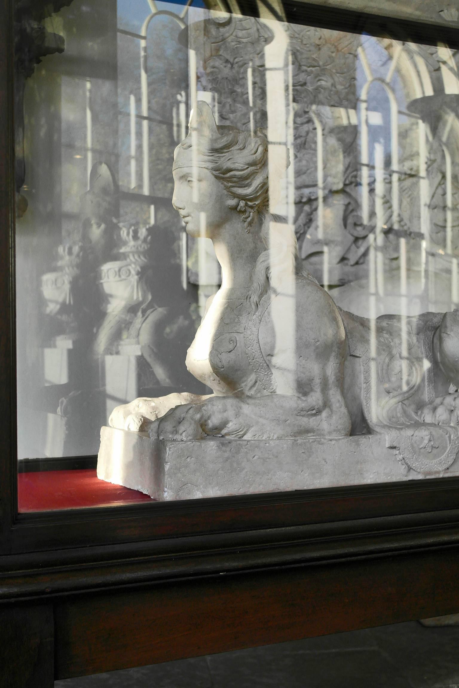 Unknown 20th Century Monumental Glazed Museum Display Cabinet For Sale