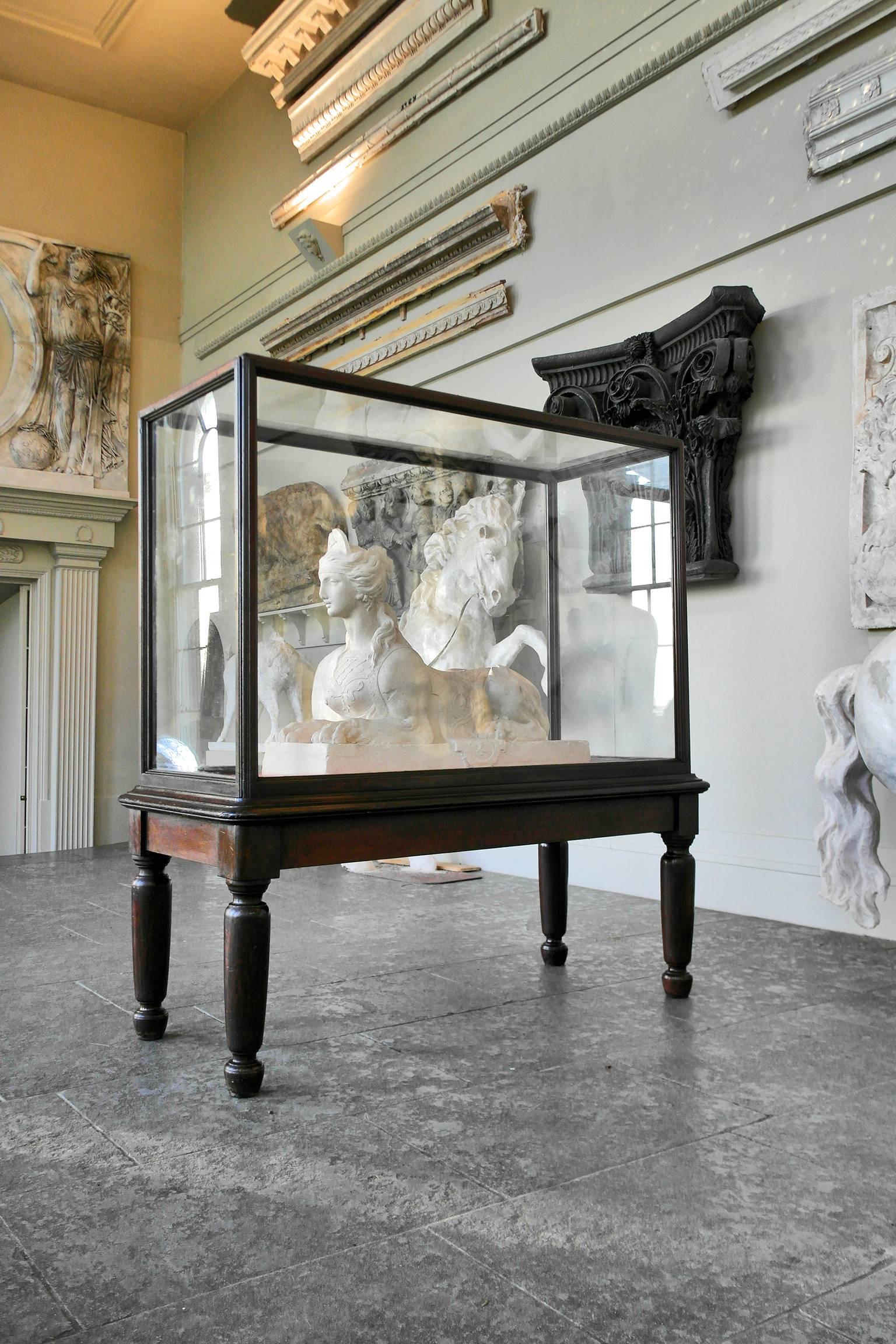 20th Century Monumental Glazed Museum Display Cabinet In Good Condition For Sale In Oxfordshire, GB