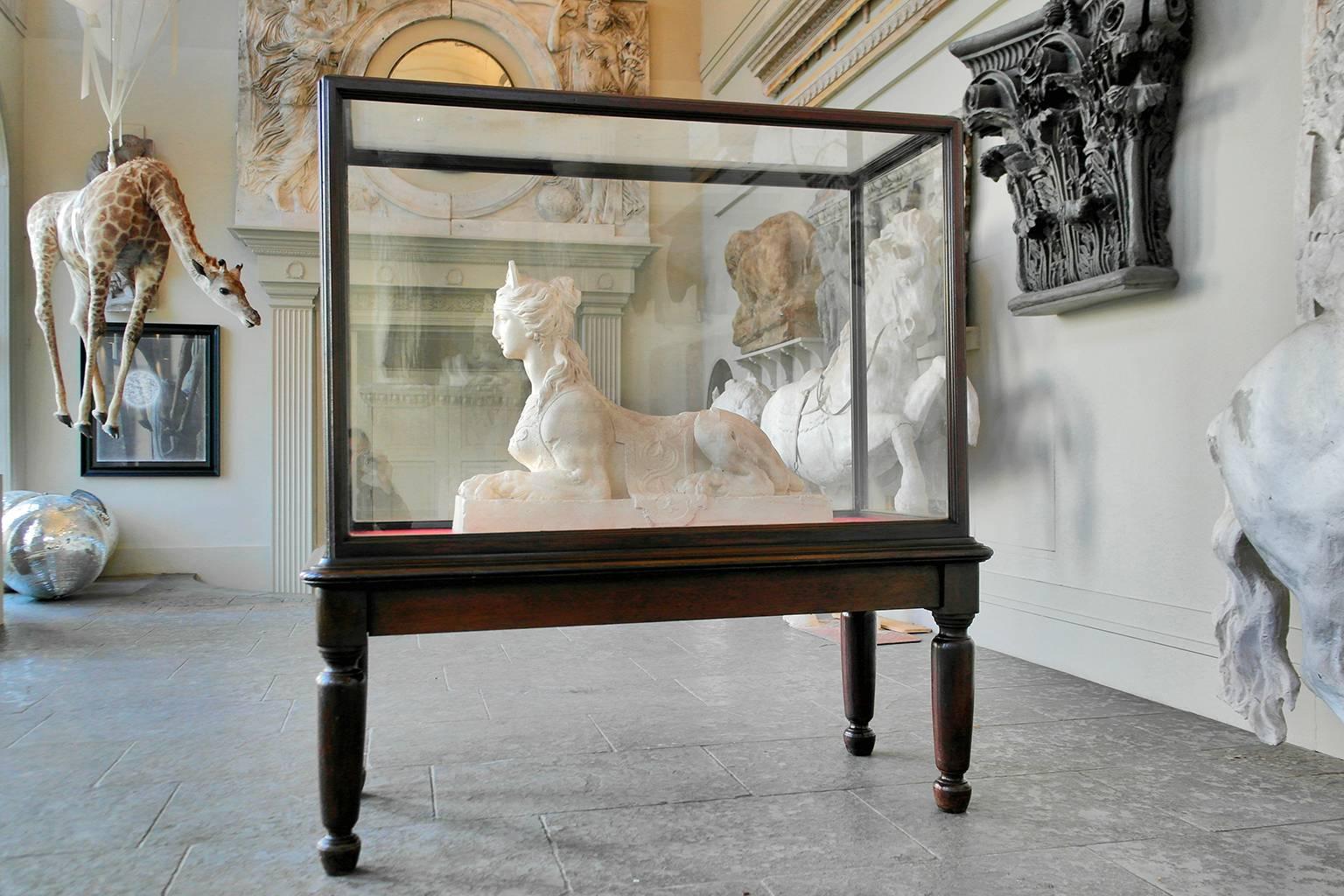 20th Century Monumental Glazed Museum Display Cabinet For Sale 1