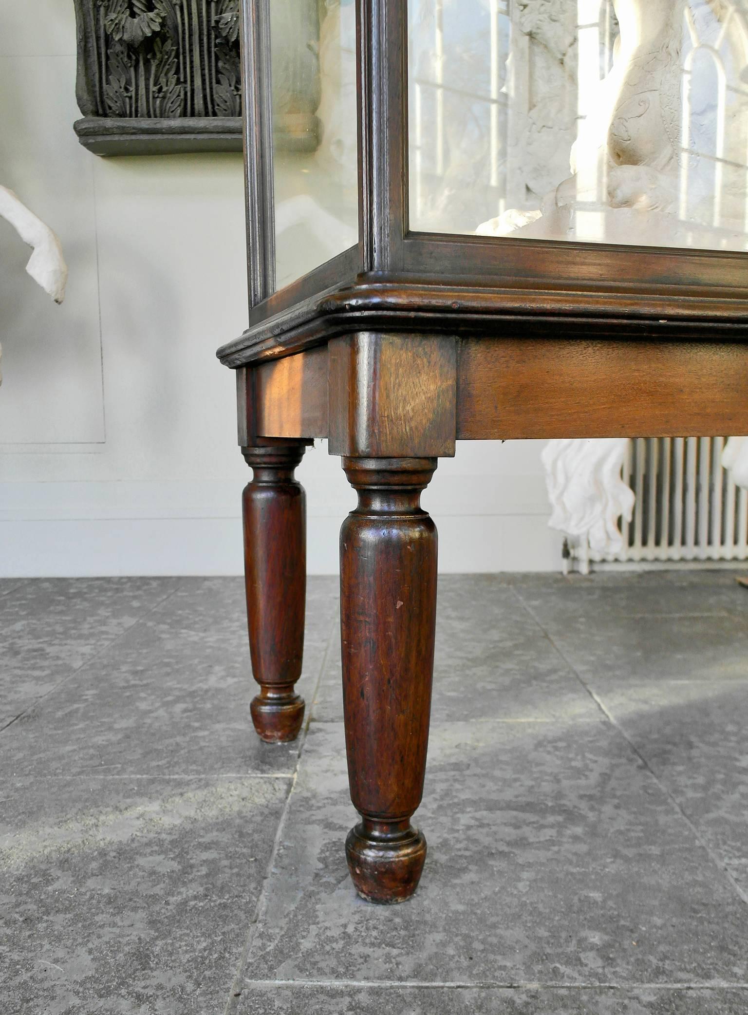 20th Century Monumental Glazed Museum Display Cabinet For Sale 2